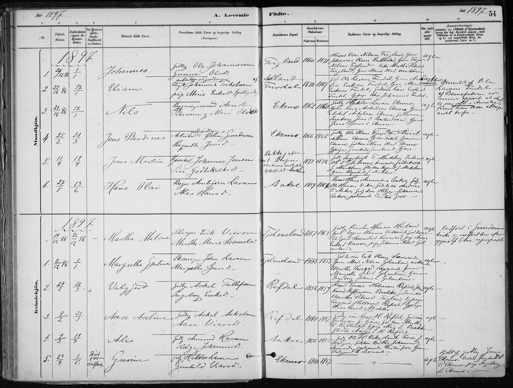 Skånevik sokneprestembete, SAB/A-77801/H/Haa: Parish register (official) no. E  1, 1879-1901, p. 54