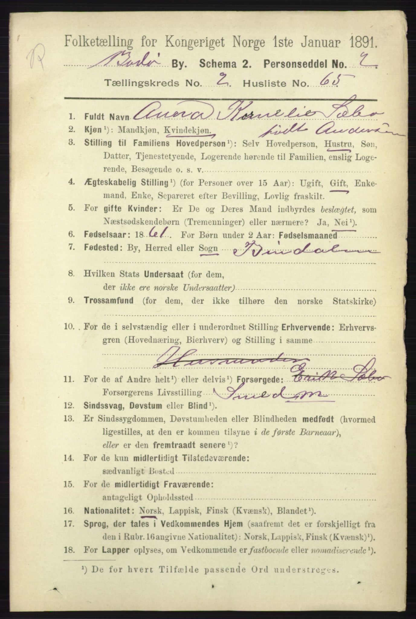 RA, 1891 census for 1804 Bodø, 1891, p. 1825
