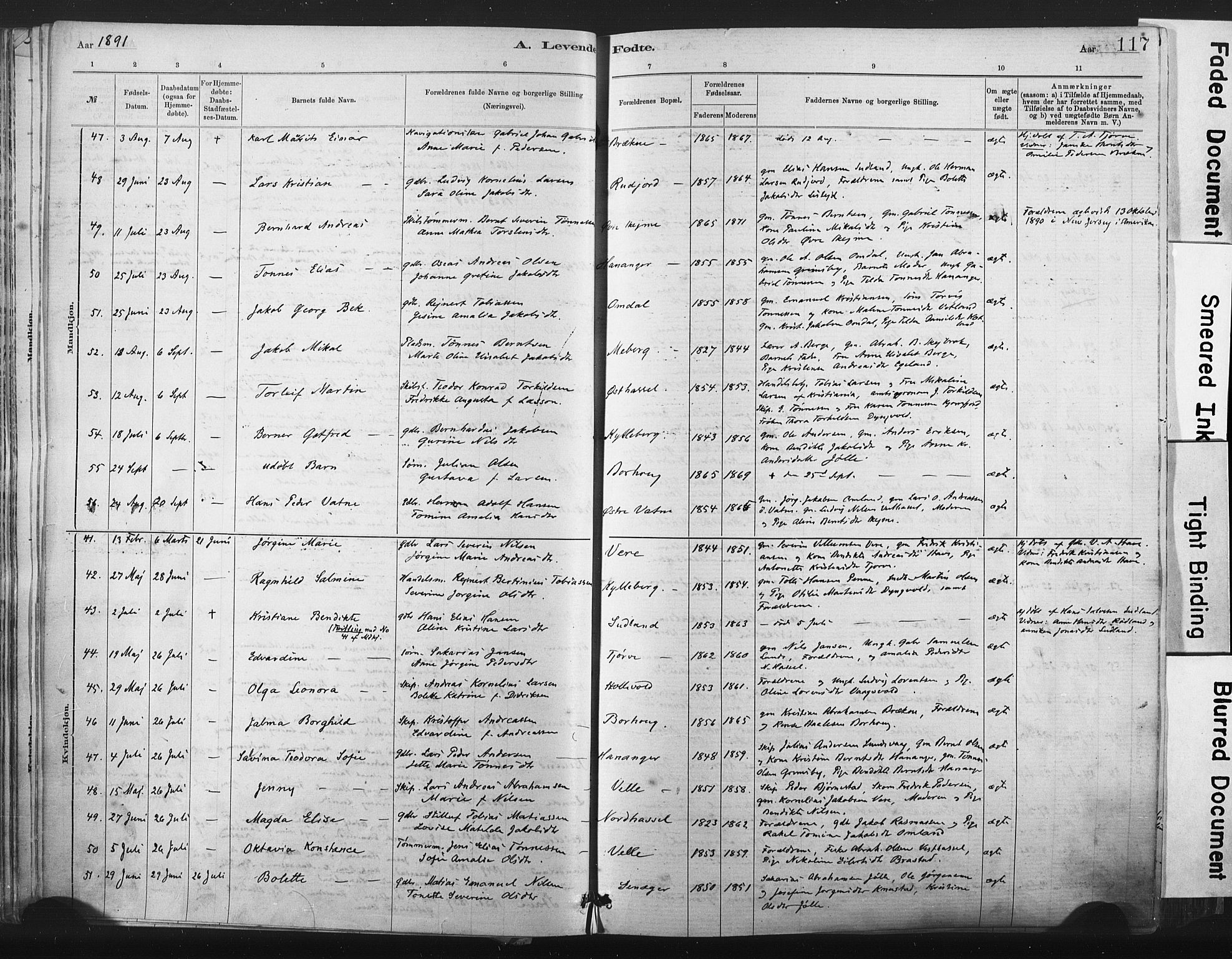 Lista sokneprestkontor, AV/SAK-1111-0027/F/Fa/L0012: Parish register (official) no. A 12, 1879-1903, p. 117