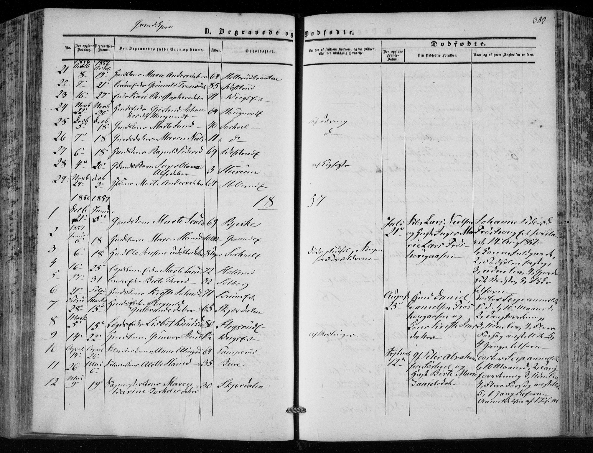 Hole kirkebøker, SAKO/A-228/F/Fa/L0006: Parish register (official) no. I 6, 1852-1872, p. 389