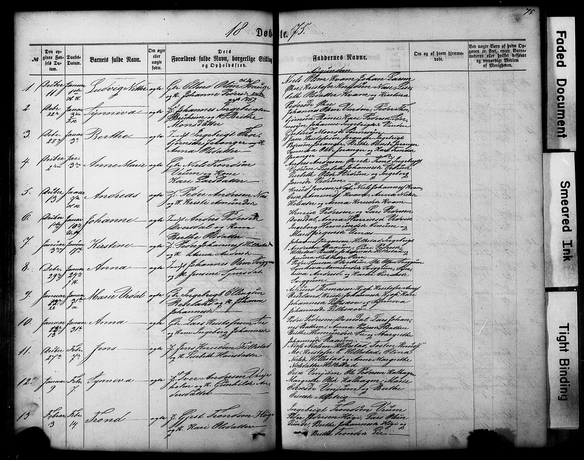 Hafslo sokneprestembete, AV/SAB-A-80301/H/Hab/Haba/L0001: Parish register (copy) no. A 1, 1866-1908, p. 75