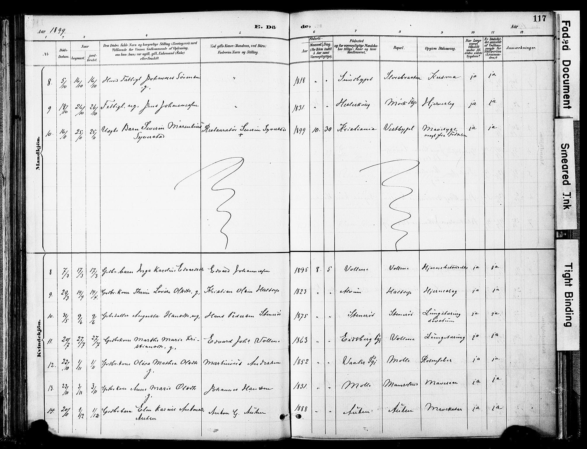 Spydeberg prestekontor Kirkebøker, AV/SAO-A-10924/F/Fa/L0008: Parish register (official) no. I 8, 1886-1900, p. 117