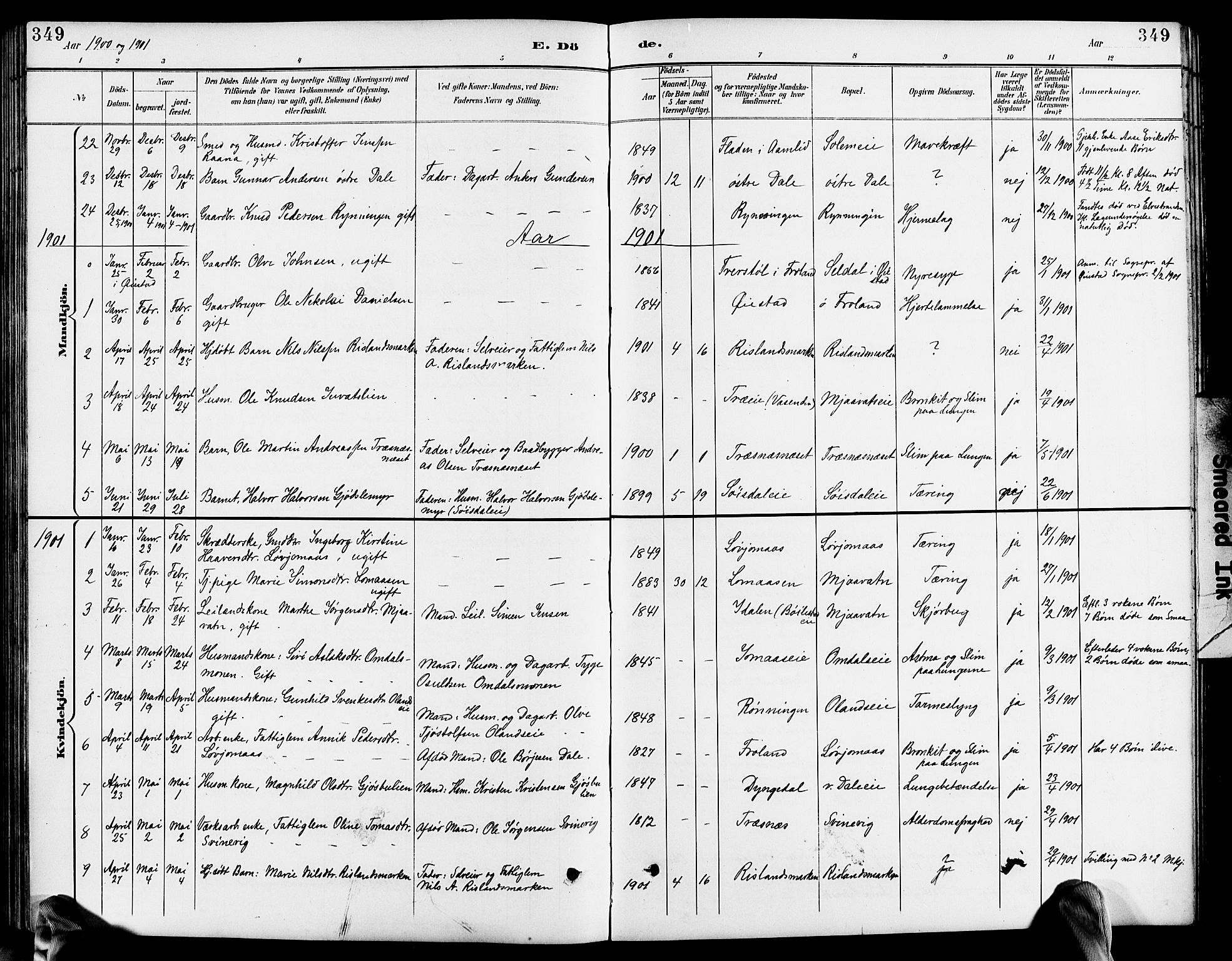 Froland sokneprestkontor, SAK/1111-0013/F/Fb/L0010: Parish register (copy) no. B 10, 1893-1920, p. 349