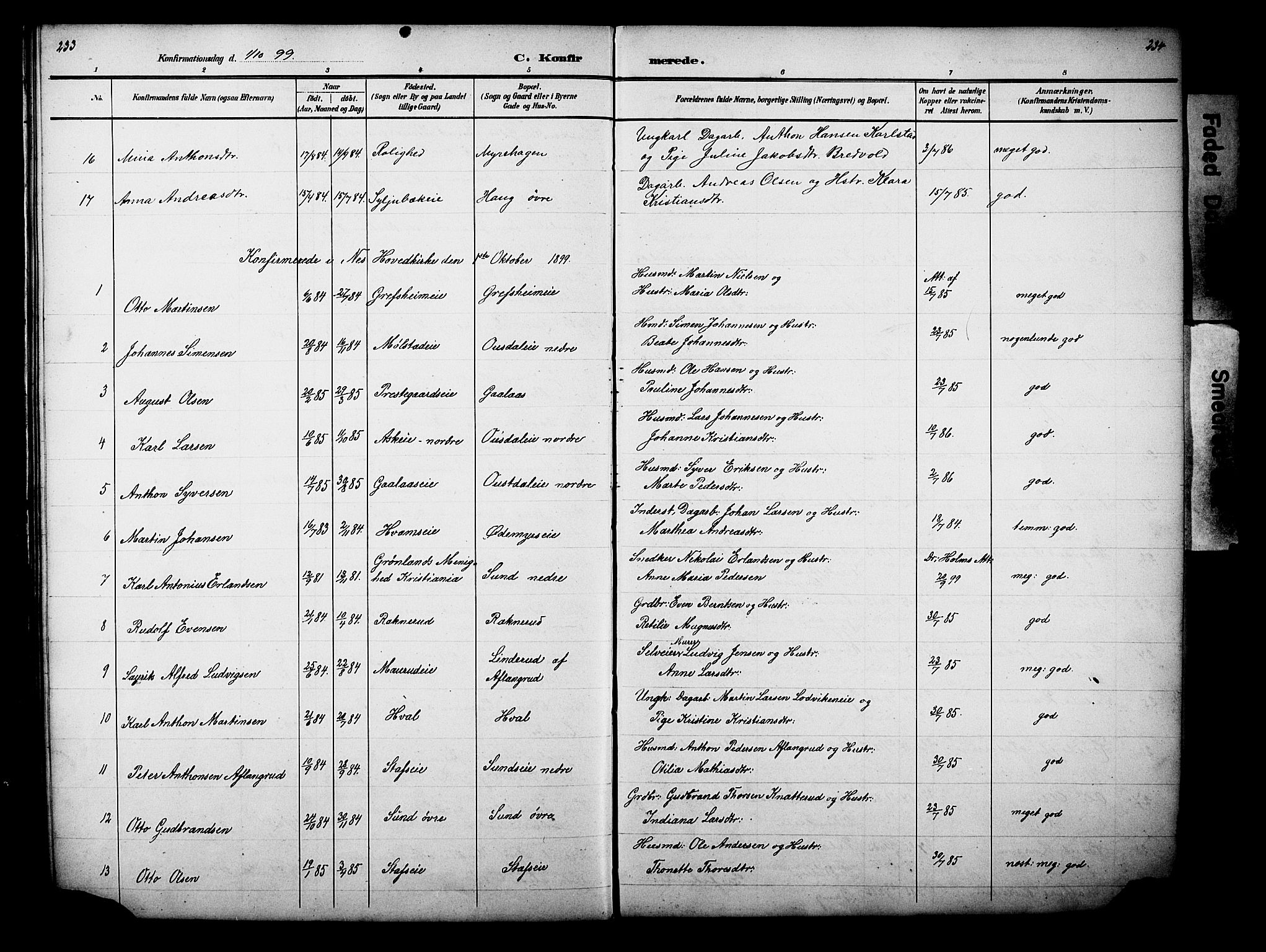 Nes prestekontor, Hedmark, AV/SAH-PREST-020/L/La/L0006: Parish register (copy) no. 6, 1890-1932, p. 233-234