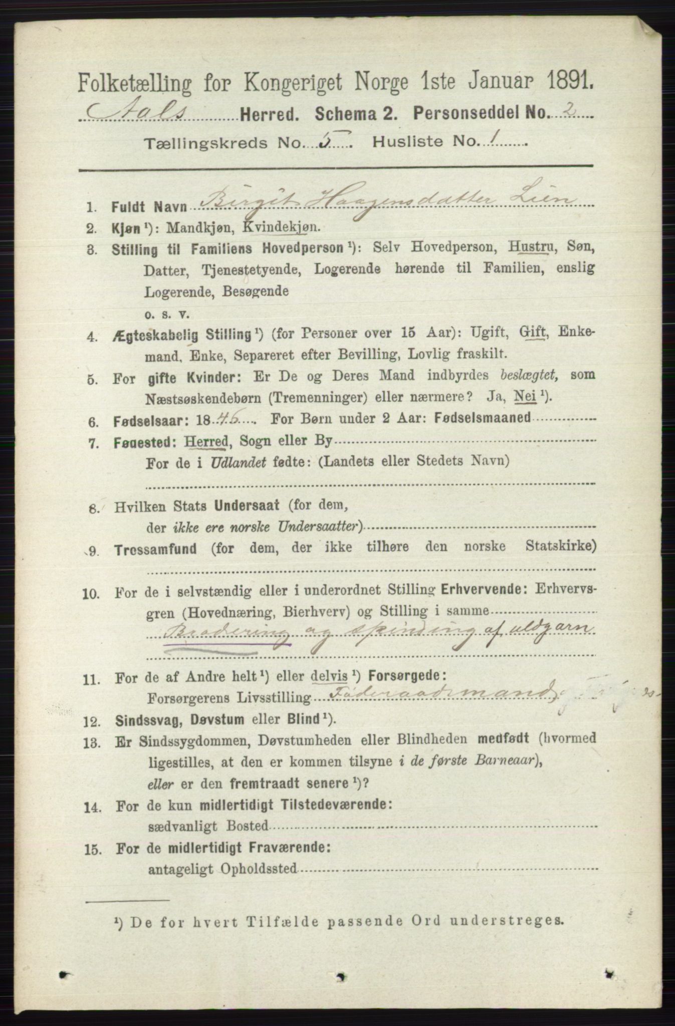 RA, 1891 census for 0619 Ål, 1891, p. 1362