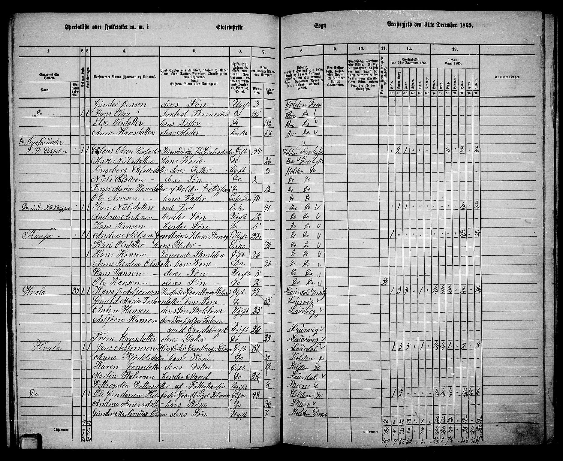 RA, 1865 census for Holla, 1865, p. 94