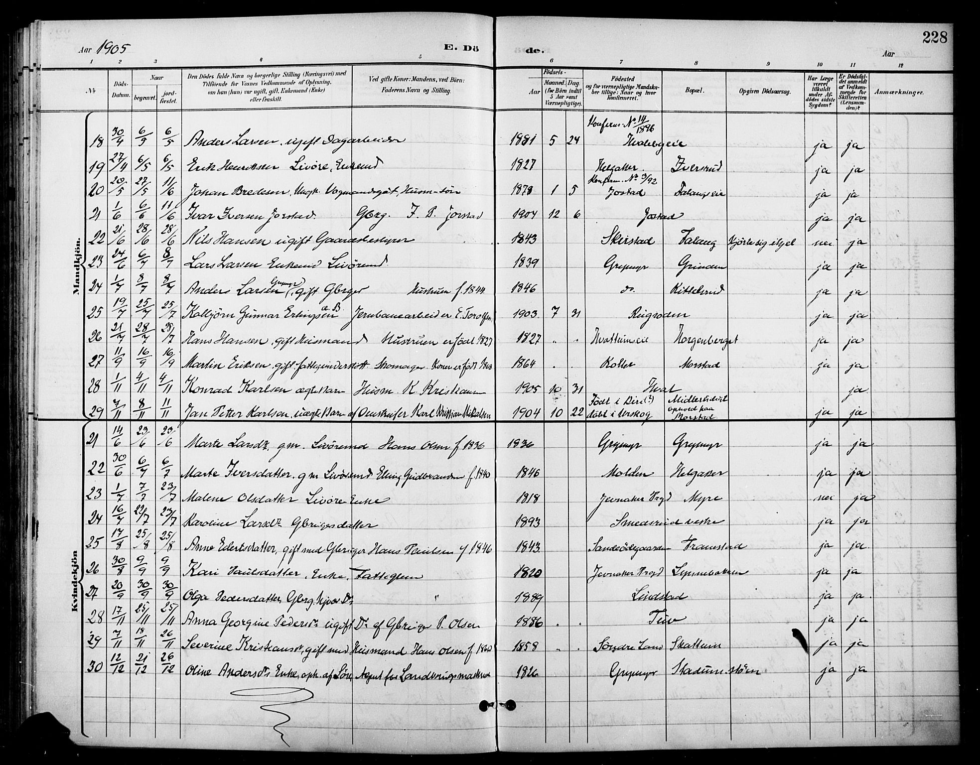 Gran prestekontor, SAH/PREST-112/H/Ha/Haa/L0019: Parish register (official) no. 19, 1898-1907, p. 228