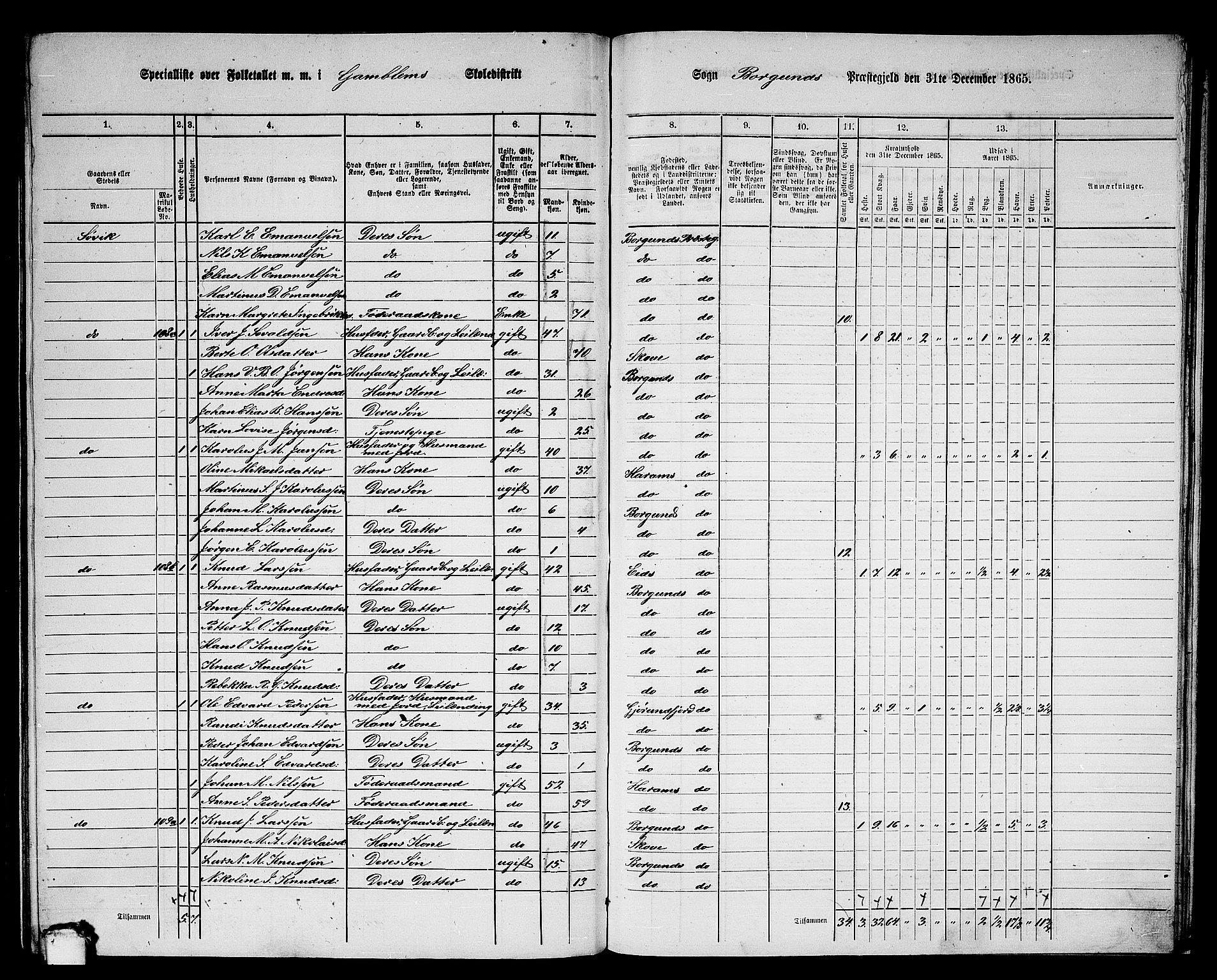 RA, 1865 census for Borgund, 1865, p. 231