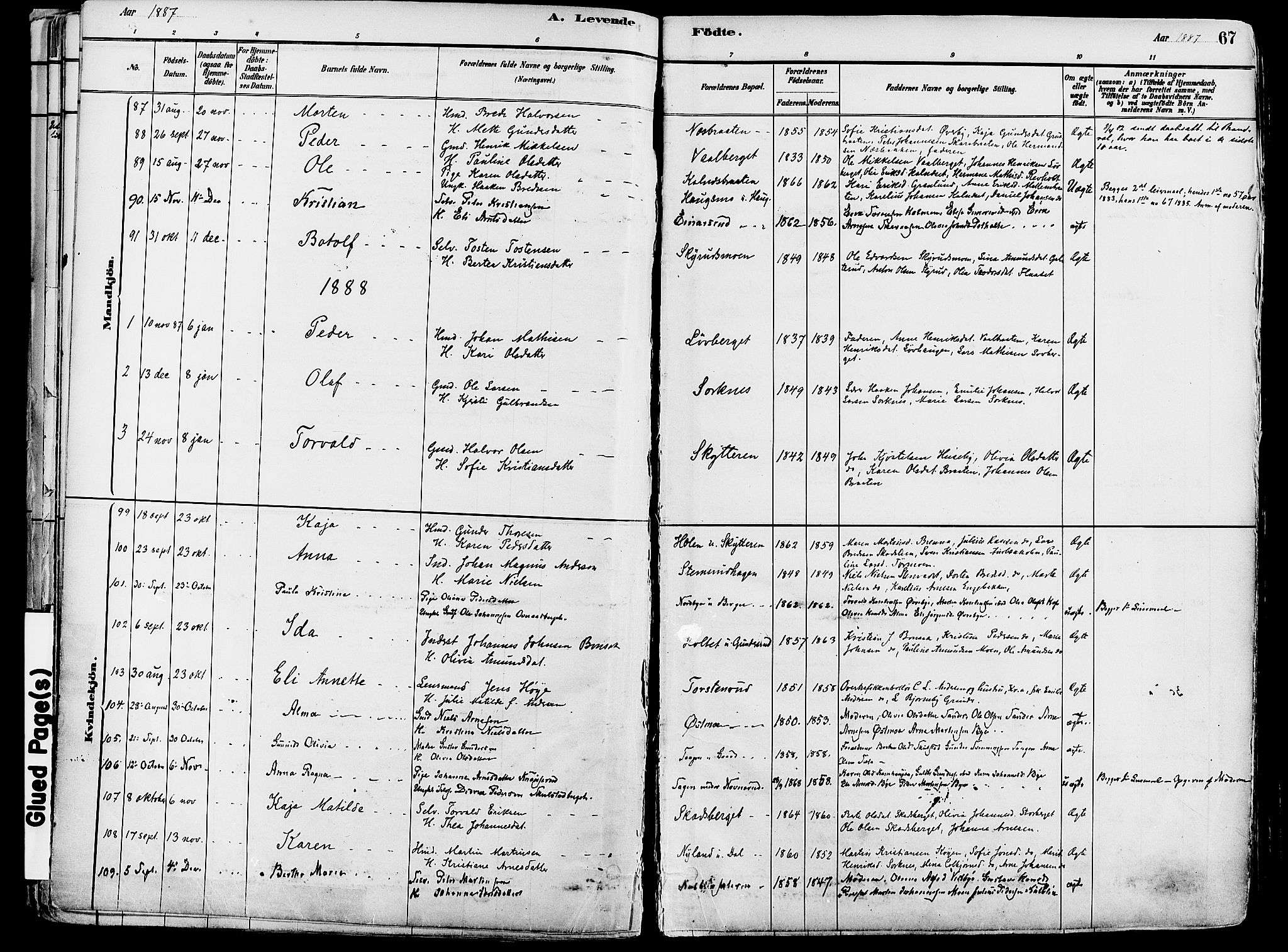 Grue prestekontor, SAH/PREST-036/H/Ha/Haa/L0012: Parish register (official) no. 12, 1881-1897, p. 67