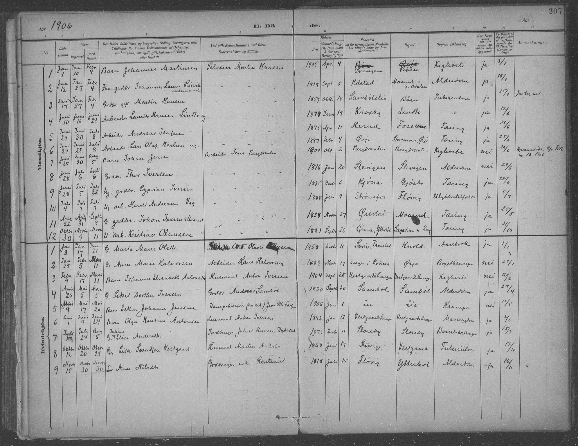 Aremark prestekontor Kirkebøker, AV/SAO-A-10899/F/Fb/L0005: Parish register (official) no. II 5, 1895-1919, p. 207