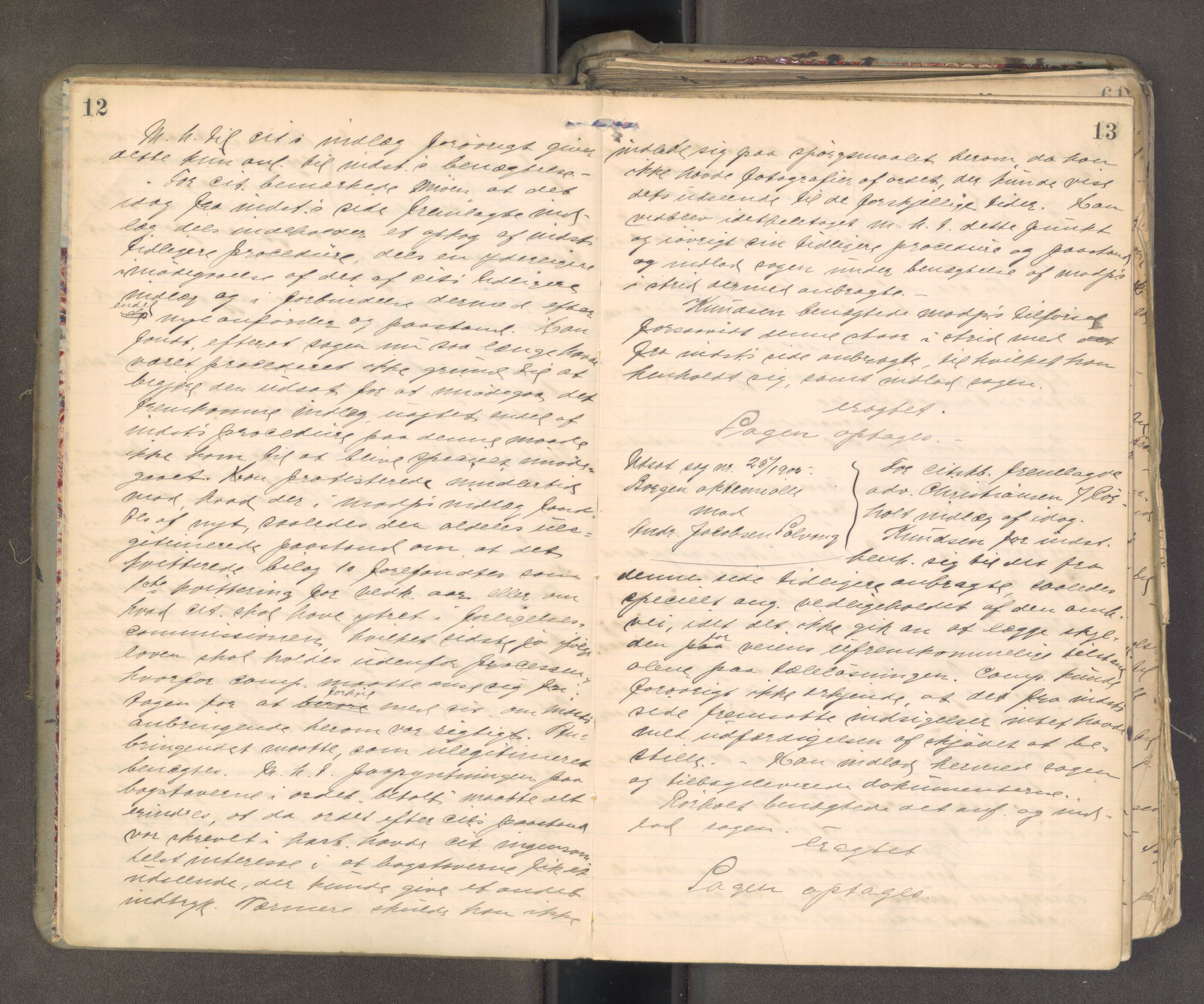 Søndre Jarlsberg sorenskriveri, AV/SAKO-A-129/F/Fa/L0045: Tingbok, 1905-1907, p. 12-13