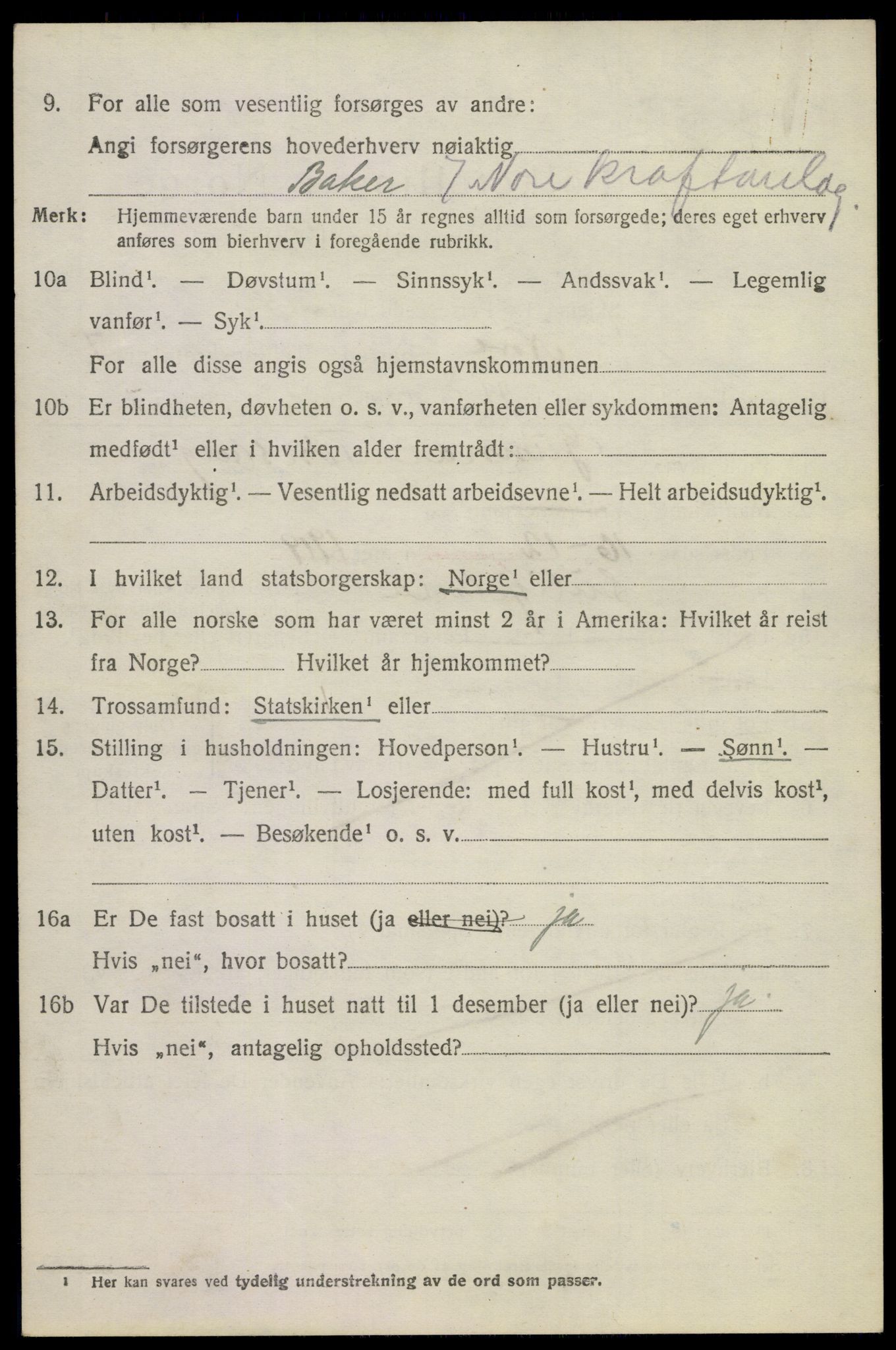 SAKO, 1920 census for Nore, 1920, p. 3995