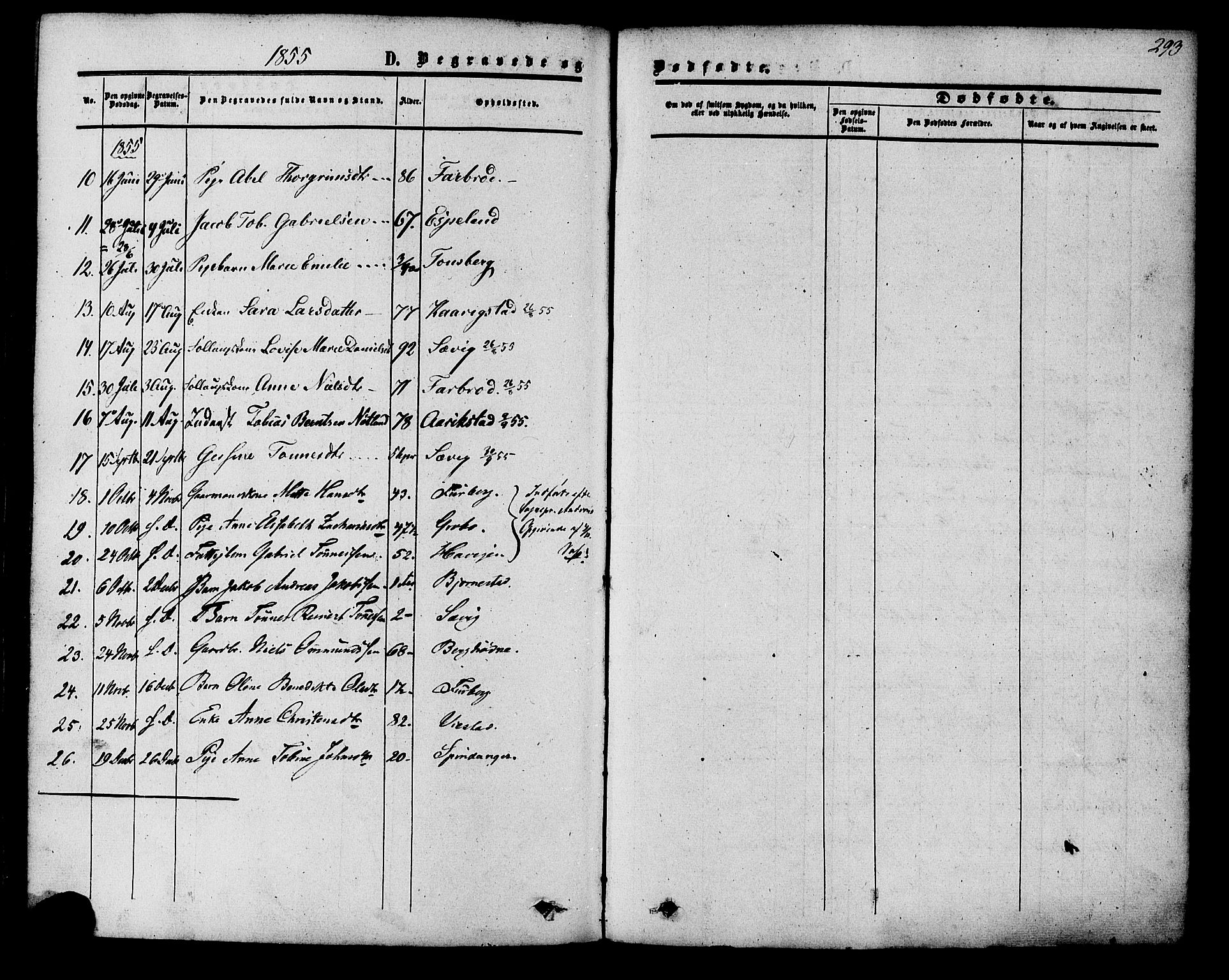 Herad sokneprestkontor, AV/SAK-1111-0018/F/Fa/Fab/L0004: Parish register (official) no. A 4, 1853-1885, p. 293