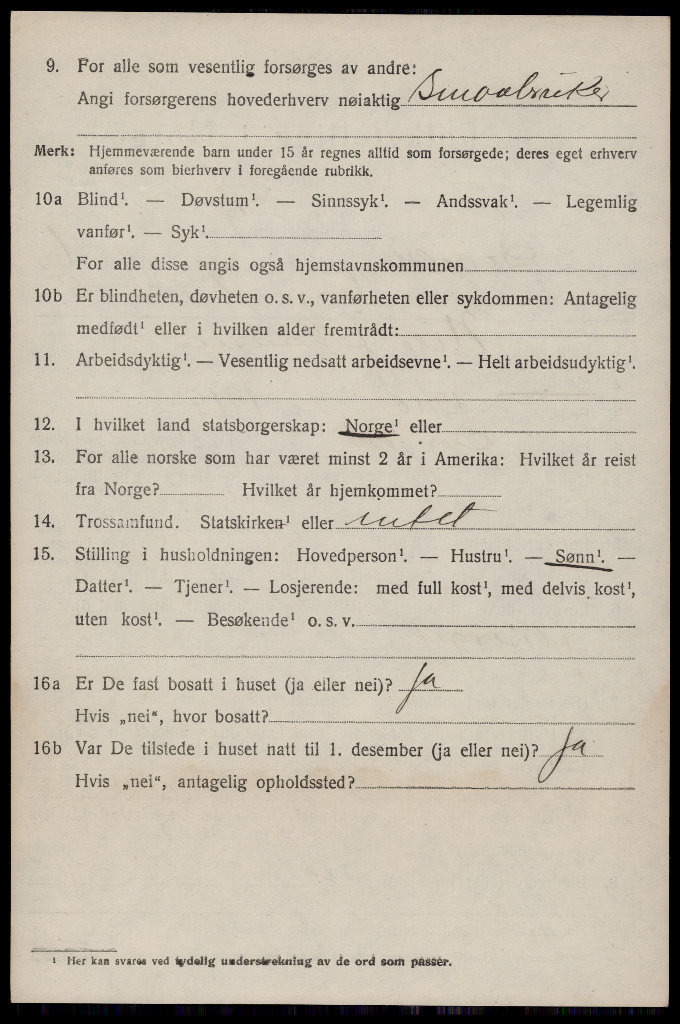 SAKO, 1920 census for Seljord, 1920, p. 3673