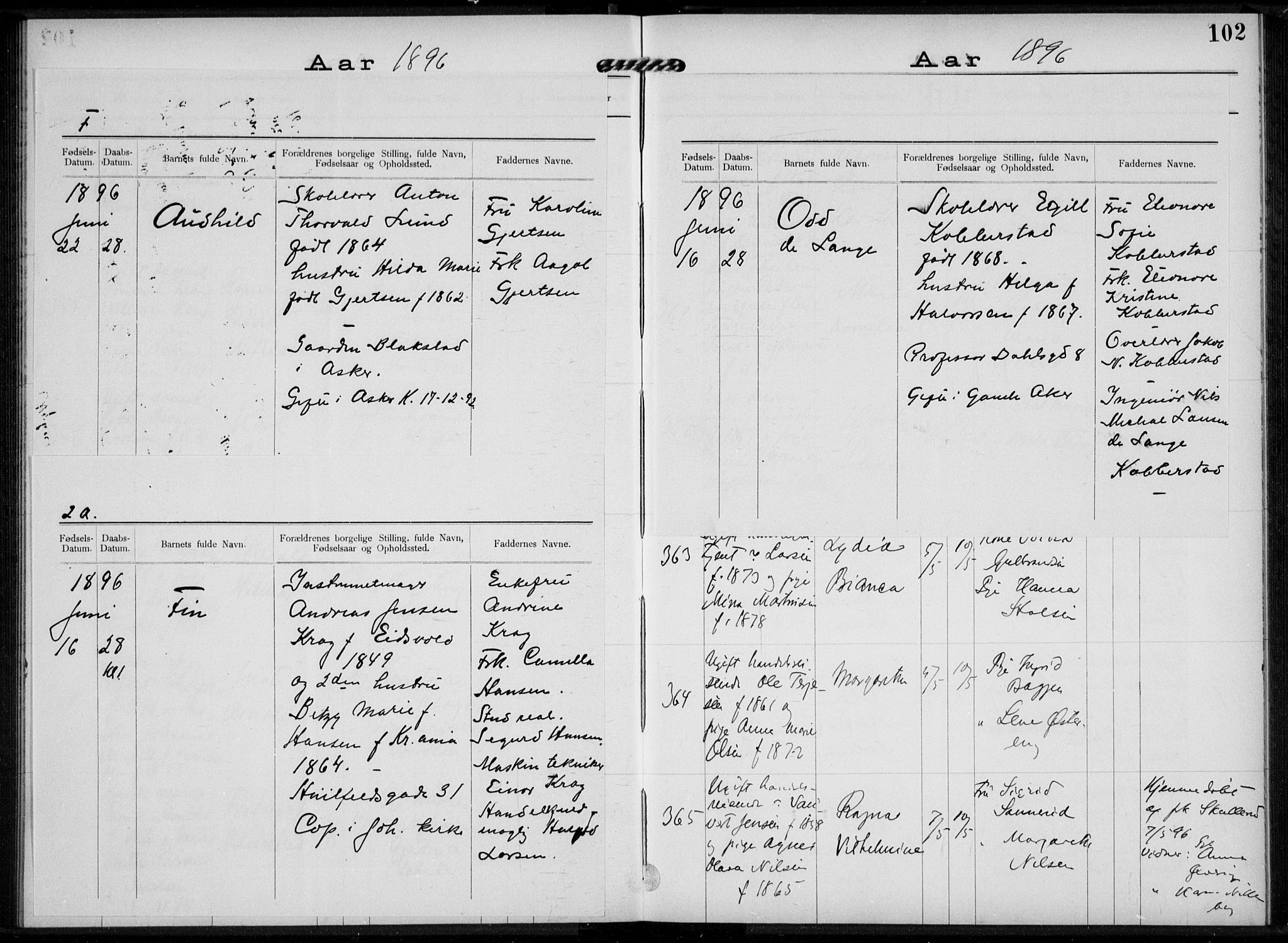 Rikshospitalet prestekontor Kirkebøker, SAO/A-10309b/K/L0004/0002: Baptism register no. 4.2, 1895-1897, p. 102
