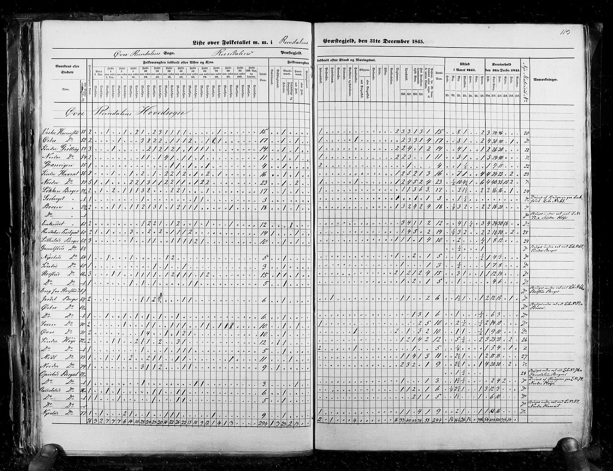 RA, Census 1845, vol. 3: Hedemarken amt og Kristians amt, 1845, p. 113