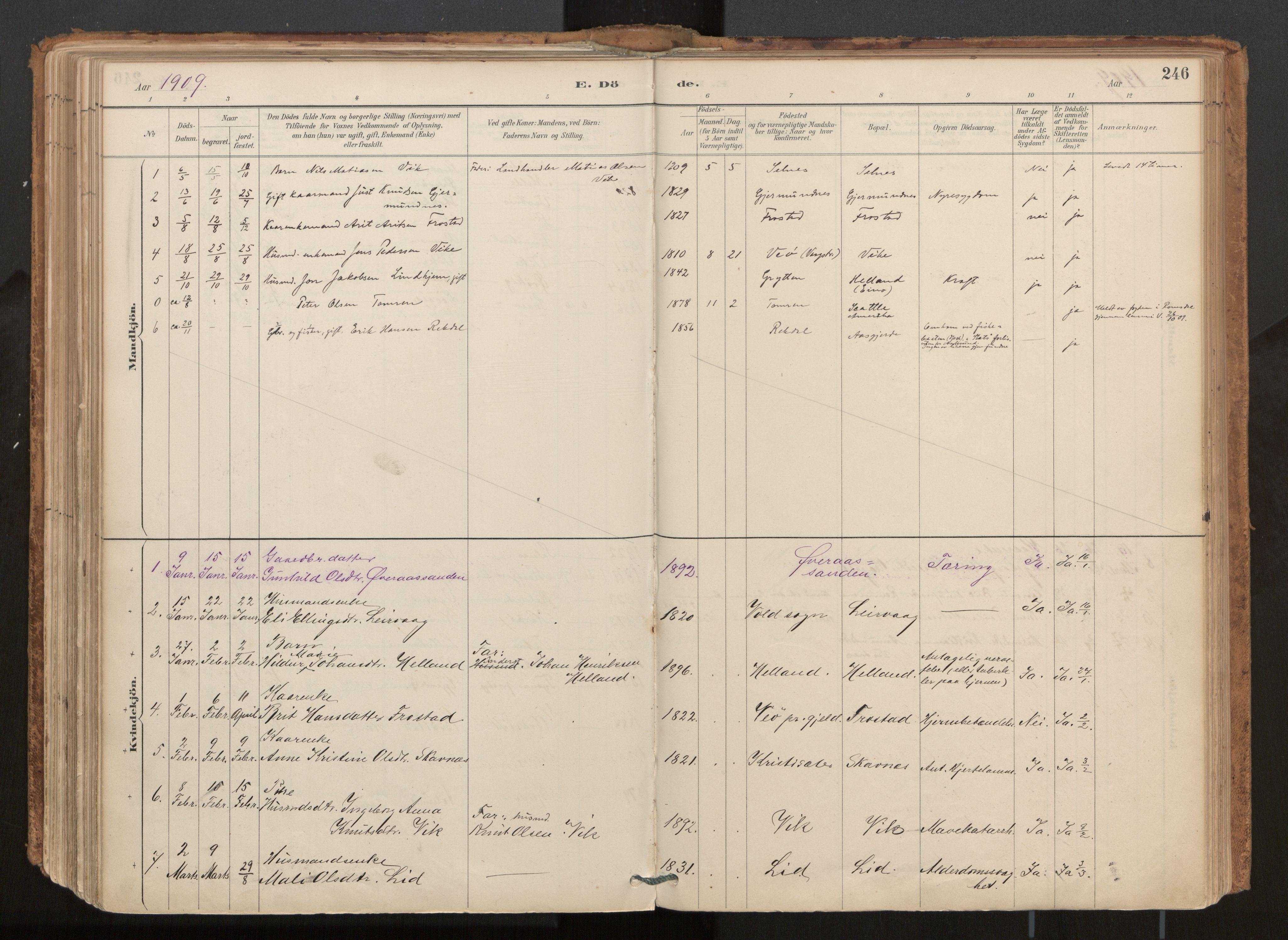 Ministerialprotokoller, klokkerbøker og fødselsregistre - Møre og Romsdal, AV/SAT-A-1454/539/L0531: Parish register (official) no. 539A04, 1887-1913, p. 246