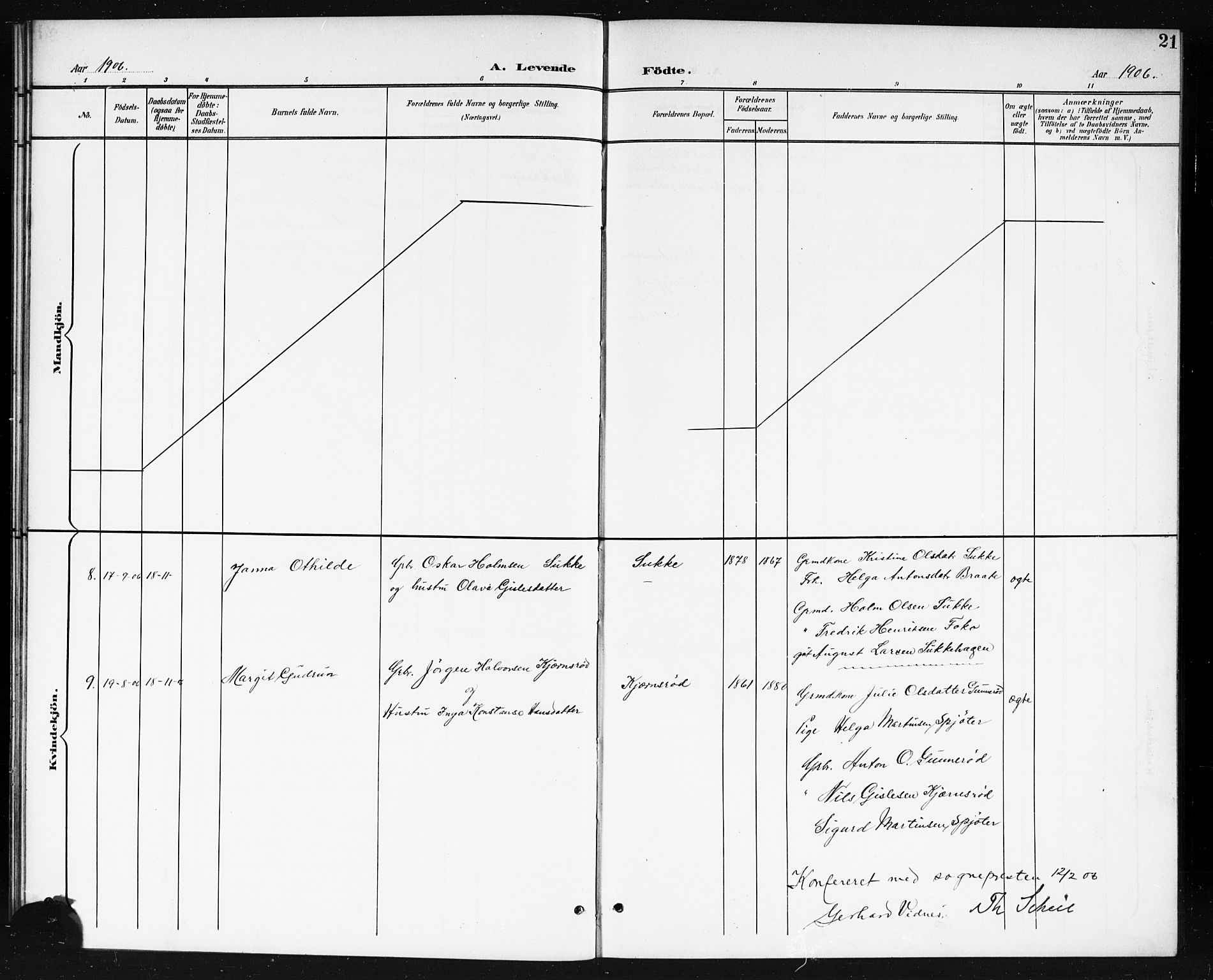 Våler prestekontor Kirkebøker, AV/SAO-A-11083/G/Gb/L0001: Parish register (copy) no. II 1, 1901-1916, p. 21