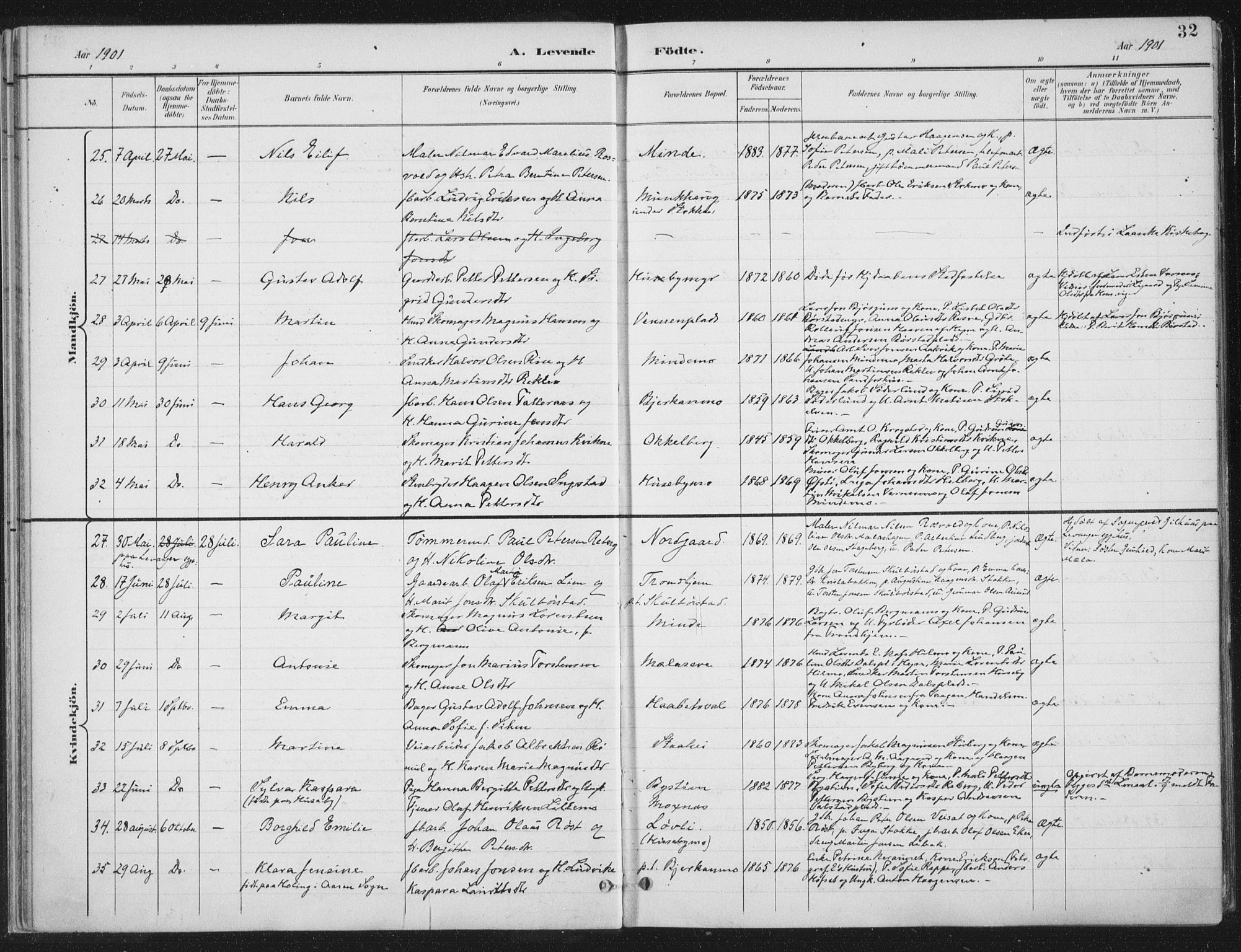 Ministerialprotokoller, klokkerbøker og fødselsregistre - Nord-Trøndelag, AV/SAT-A-1458/709/L0082: Parish register (official) no. 709A22, 1896-1916, p. 32