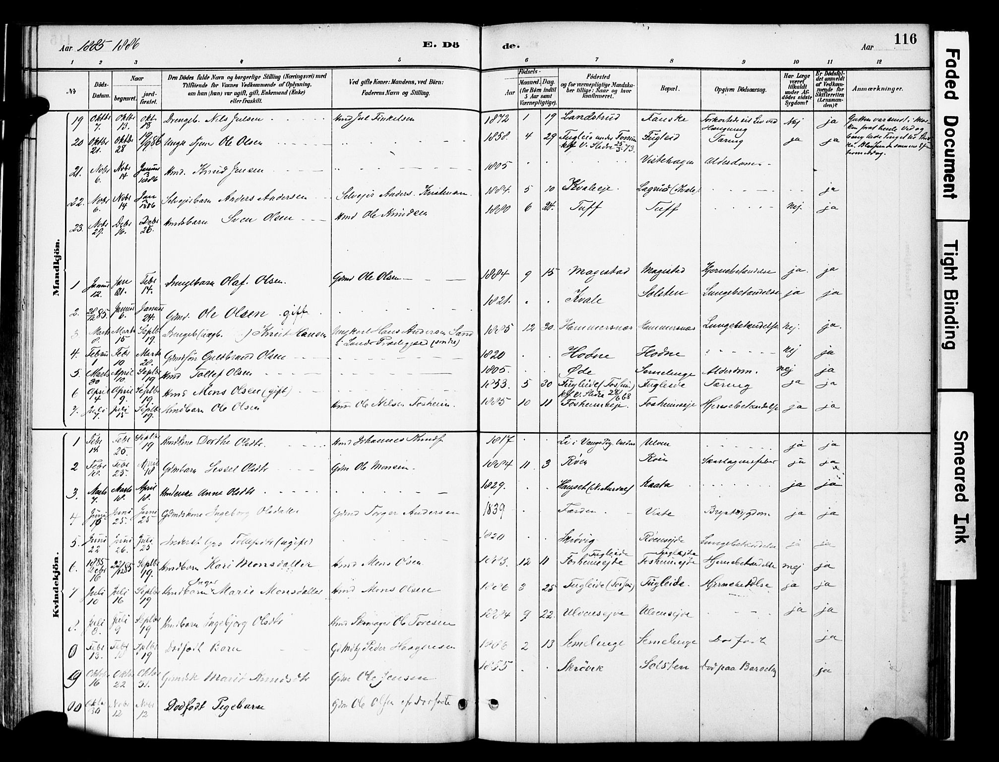 Vestre Slidre prestekontor, SAH/PREST-136/H/Ha/Haa/L0006: Parish register (official) no. 6, 1881-1912, p. 116