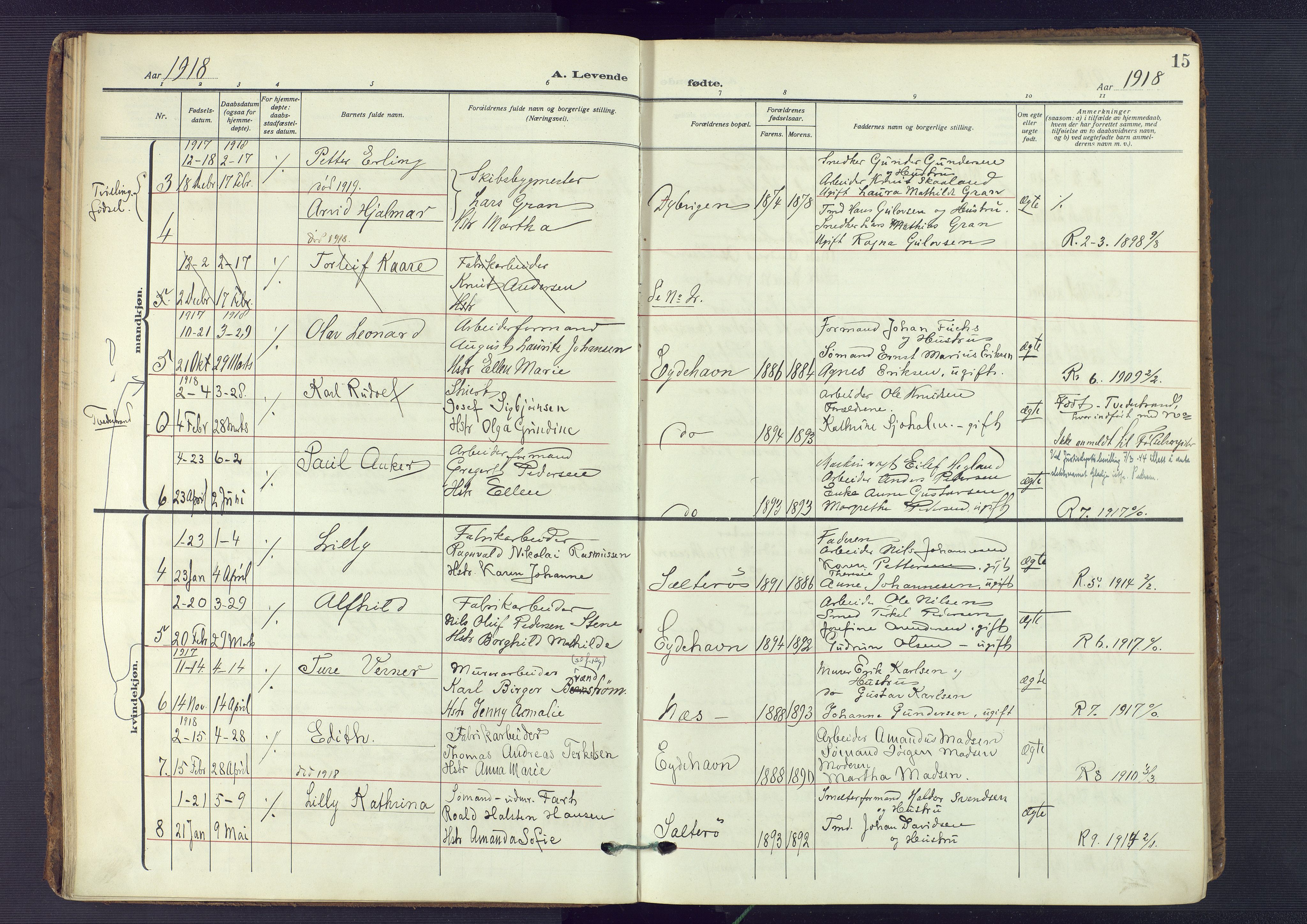 Austre Moland sokneprestkontor, AV/SAK-1111-0001/F/Fa/Fab/L0003: Parish register (official) no. A 3, 1914-1927, p. 15