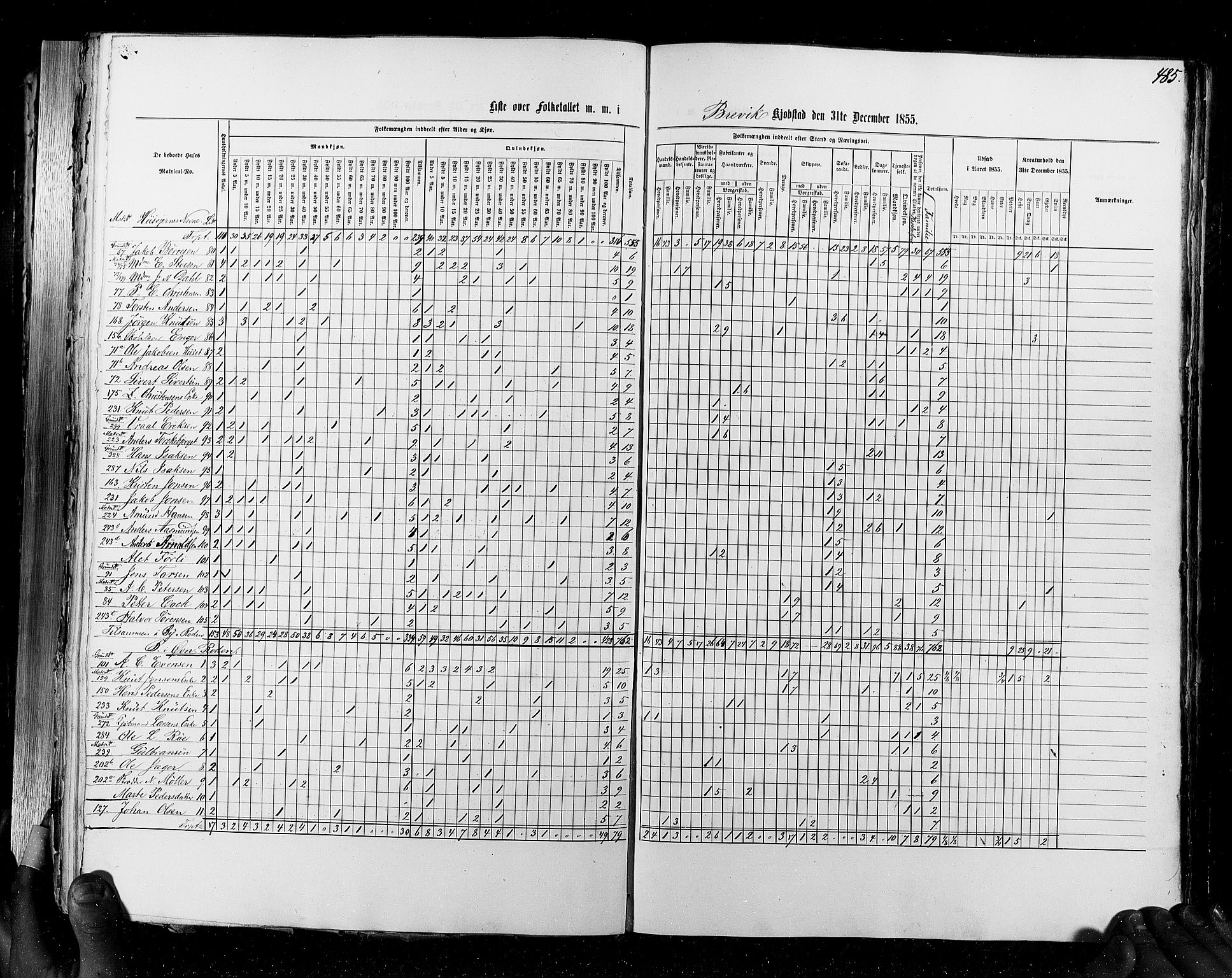 RA, Census 1855, vol. 7: Fredrikshald-Kragerø, 1855, p. 485