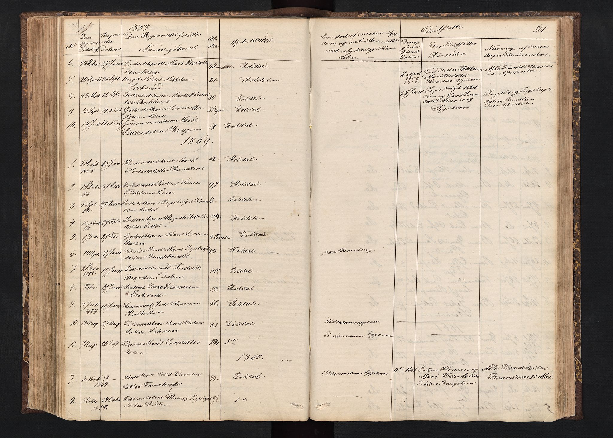 Alvdal prestekontor, SAH/PREST-060/H/Ha/Hab/L0001: Parish register (copy) no. 1, 1857-1893, p. 201