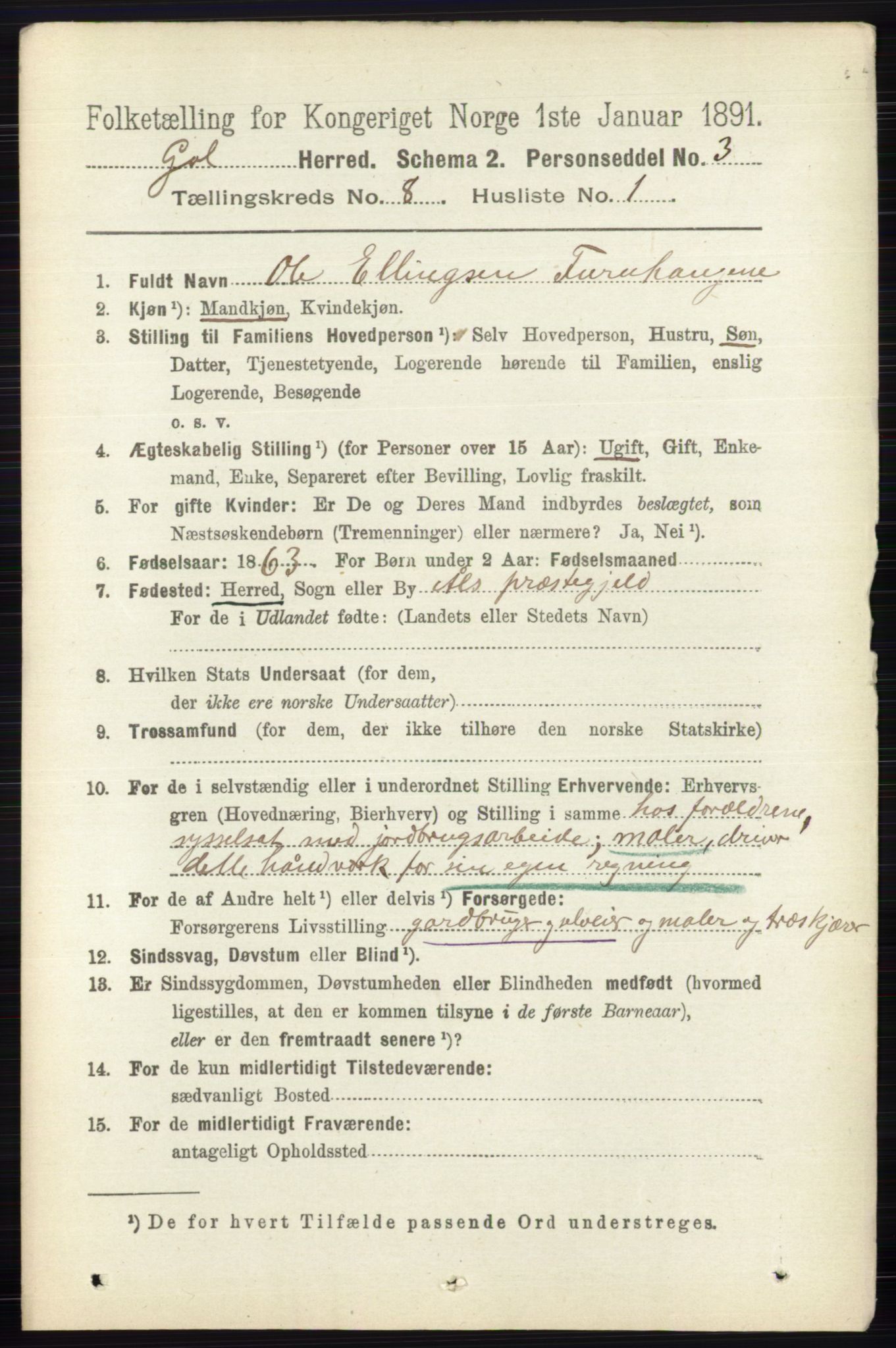 RA, 1891 census for 0617 Gol og Hemsedal, 1891, p. 3037