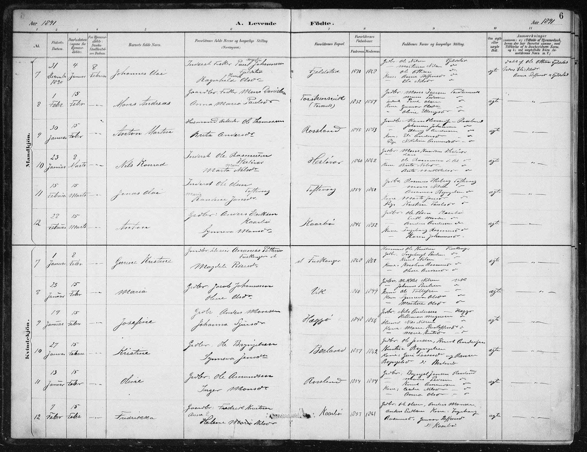 Herdla Sokneprestembete, SAB/A-75701/H/Haa: Parish register (official) no. A 4, 1891-1905, p. 6