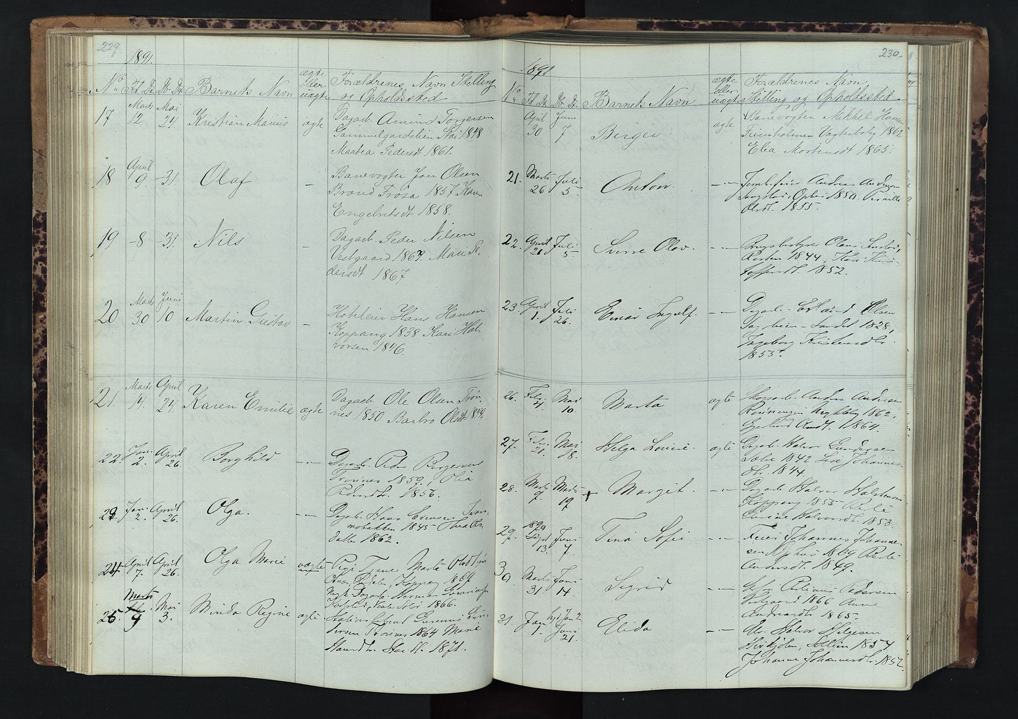 Stor-Elvdal prestekontor, AV/SAH-PREST-052/H/Ha/Hab/L0001: Parish register (copy) no. 1 /1, 1860-1894, p. 229-230