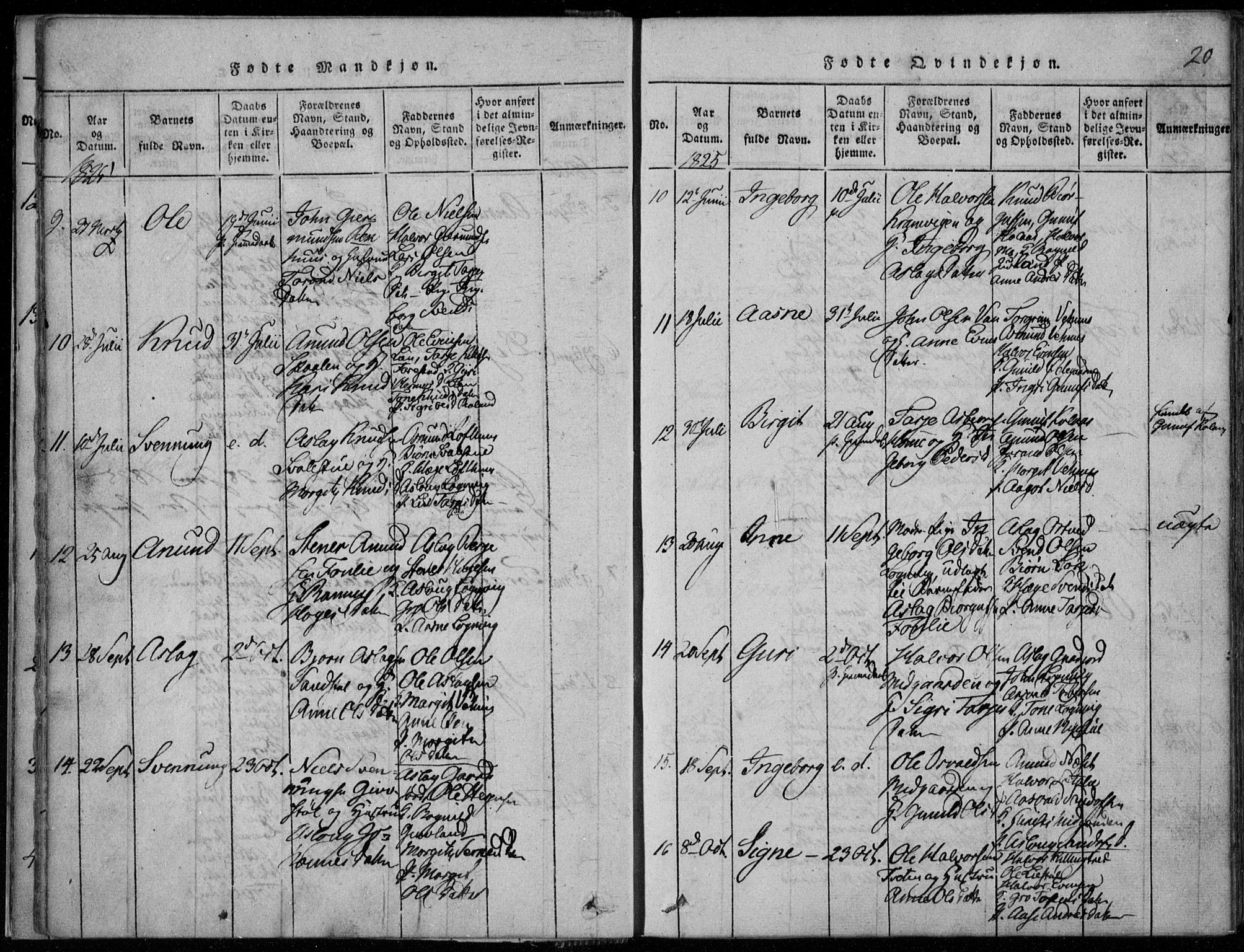 Rauland kirkebøker, SAKO/A-292/F/Fa/L0001: Parish register (official) no. 1, 1814-1859, p. 20