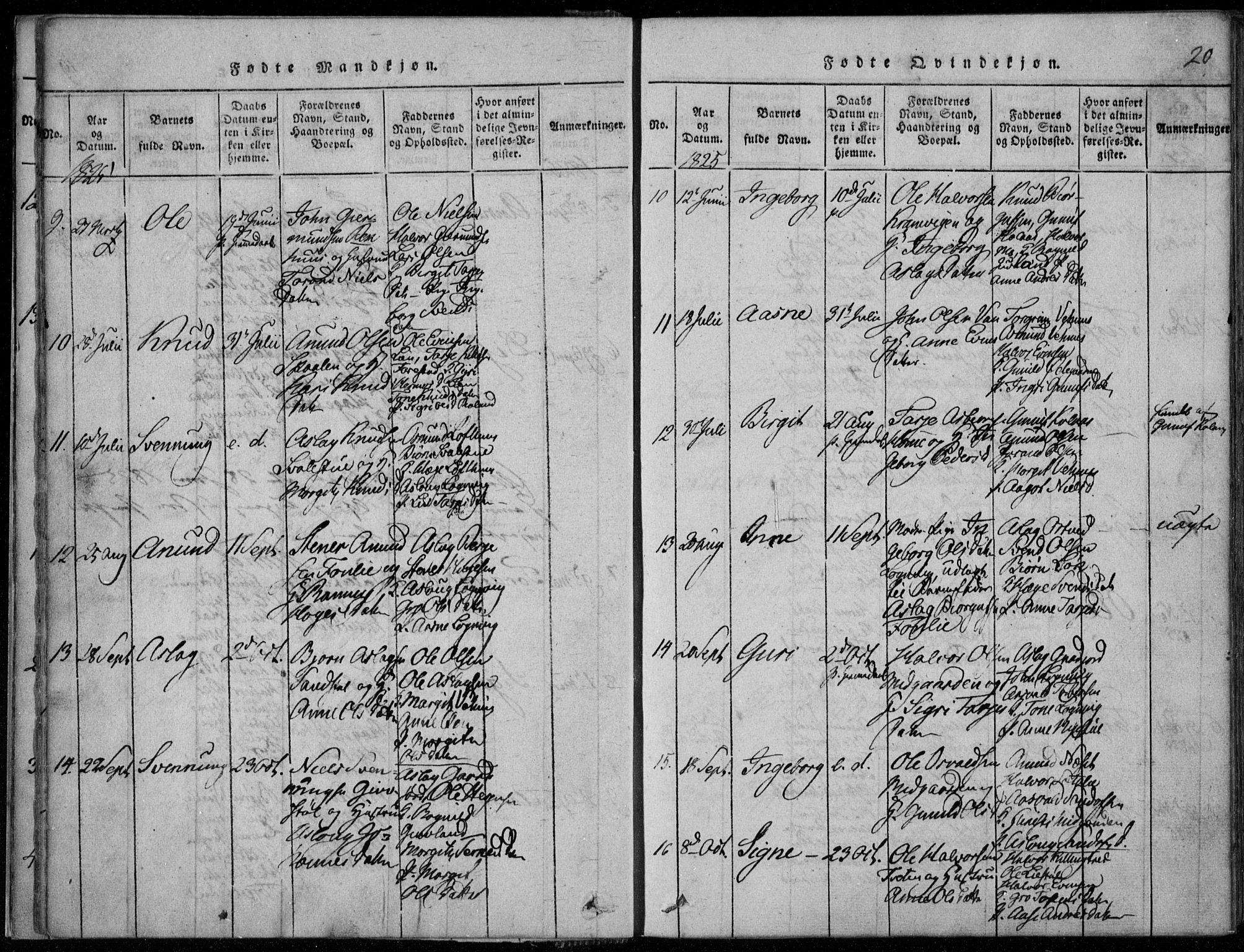 Rauland kirkebøker, AV/SAKO-A-292/F/Fa/L0001: Parish register (official) no. I 1, 1814-1859, p. 20