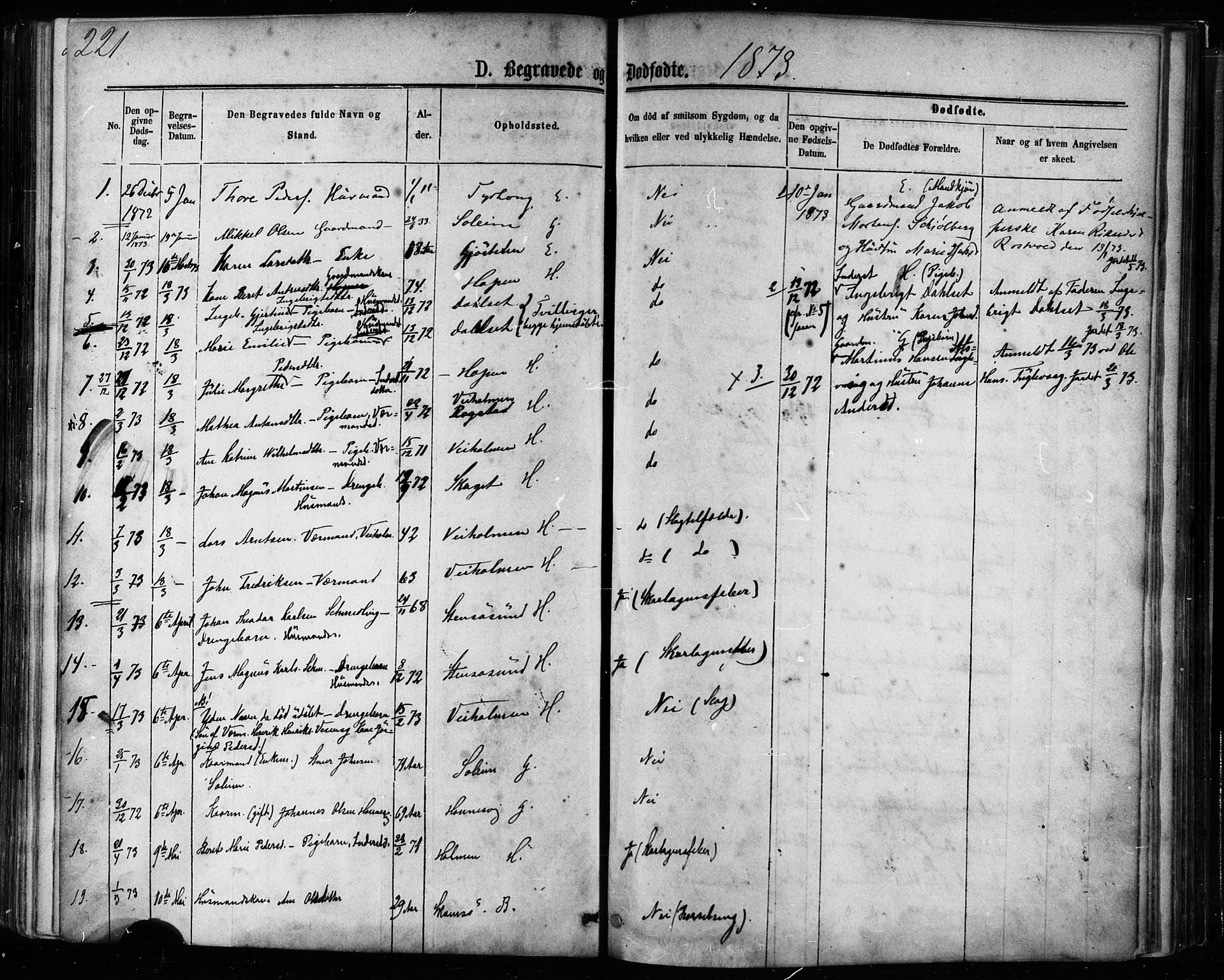 Ministerialprotokoller, klokkerbøker og fødselsregistre - Møre og Romsdal, AV/SAT-A-1454/581/L0938: Parish register (official) no. 581A06, 1873-1879, p. 221