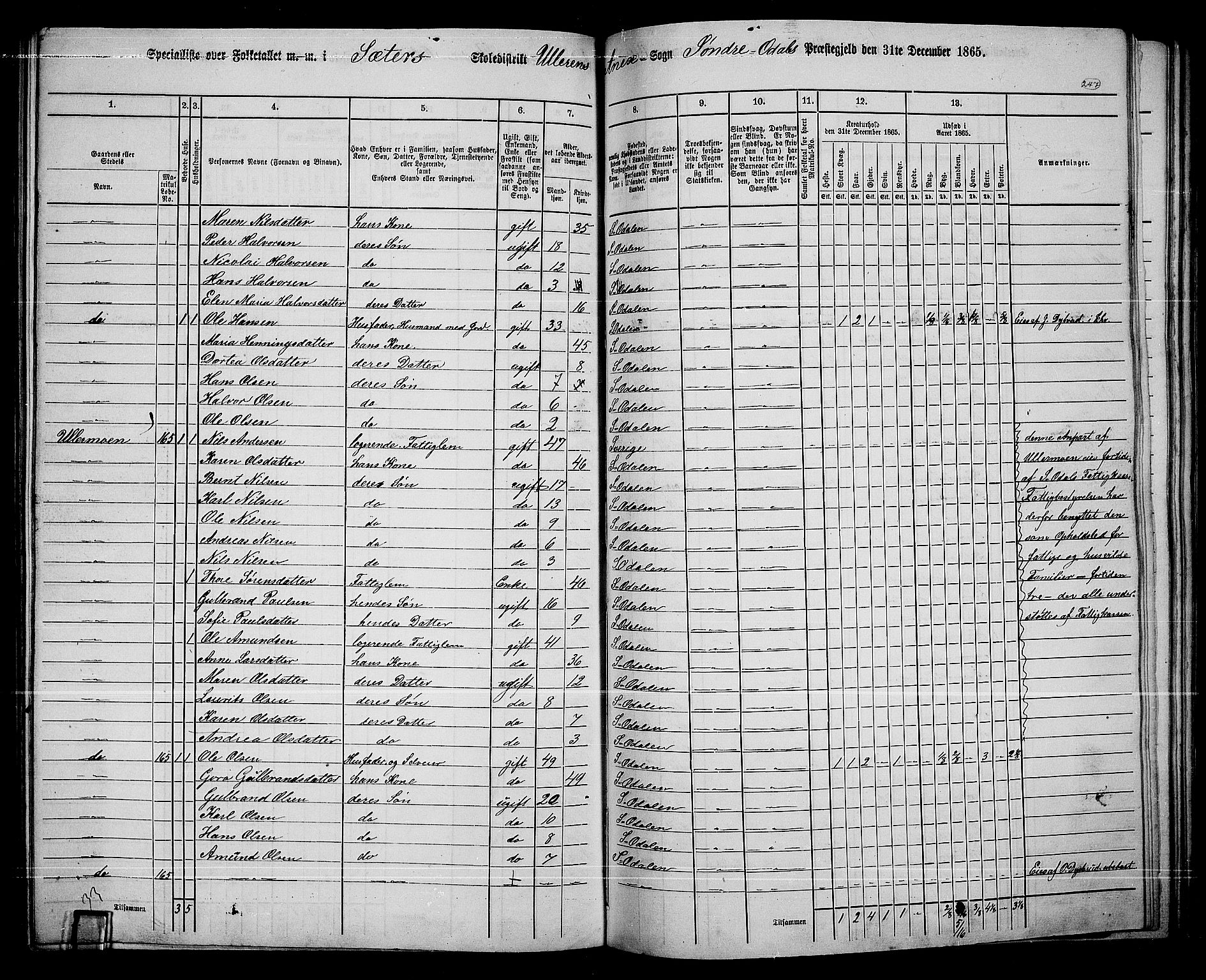 RA, 1865 census for Sør-Odal, 1865, p. 217