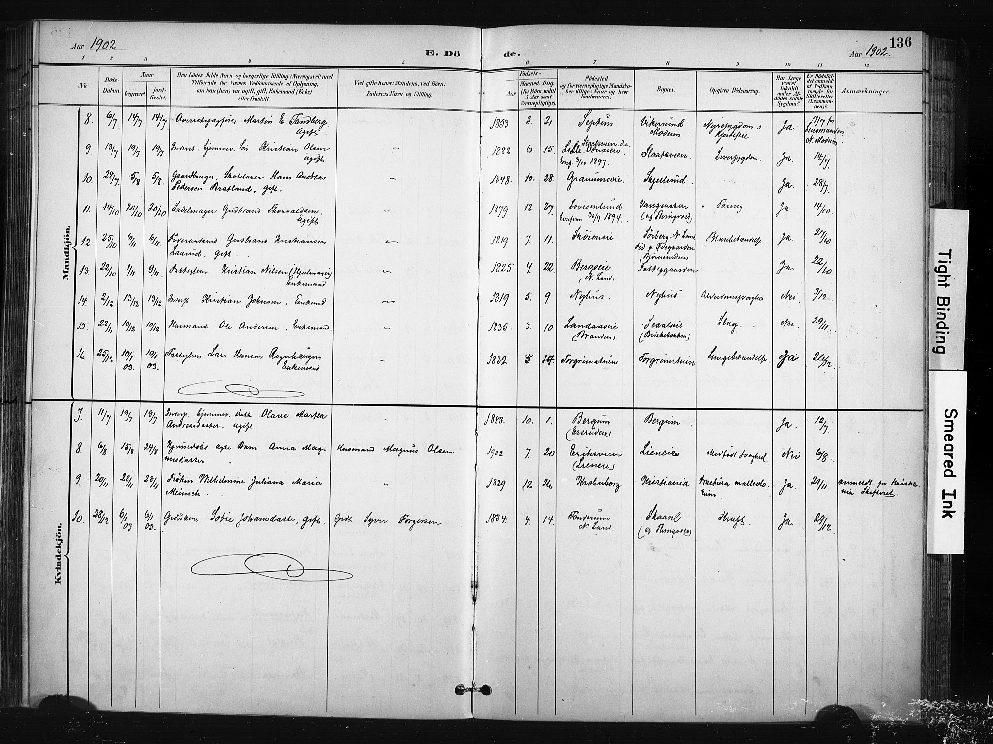 Søndre Land prestekontor, AV/SAH-PREST-122/K/L0004: Parish register (official) no. 4, 1895-1904, p. 136