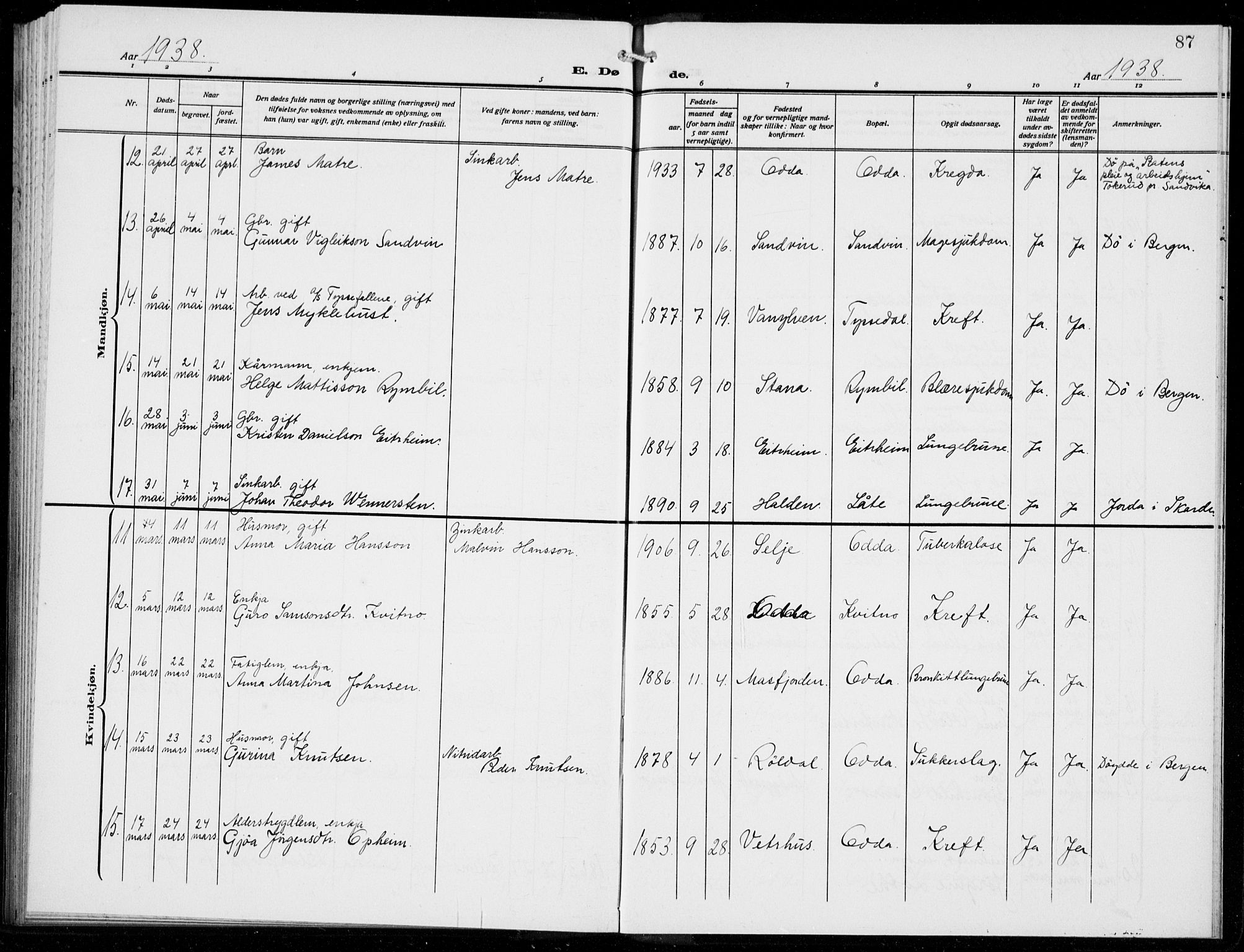 Odda Sokneprestembete, AV/SAB-A-77201/H/Hab: Parish register (copy) no. E 1, 1910-1940, p. 87