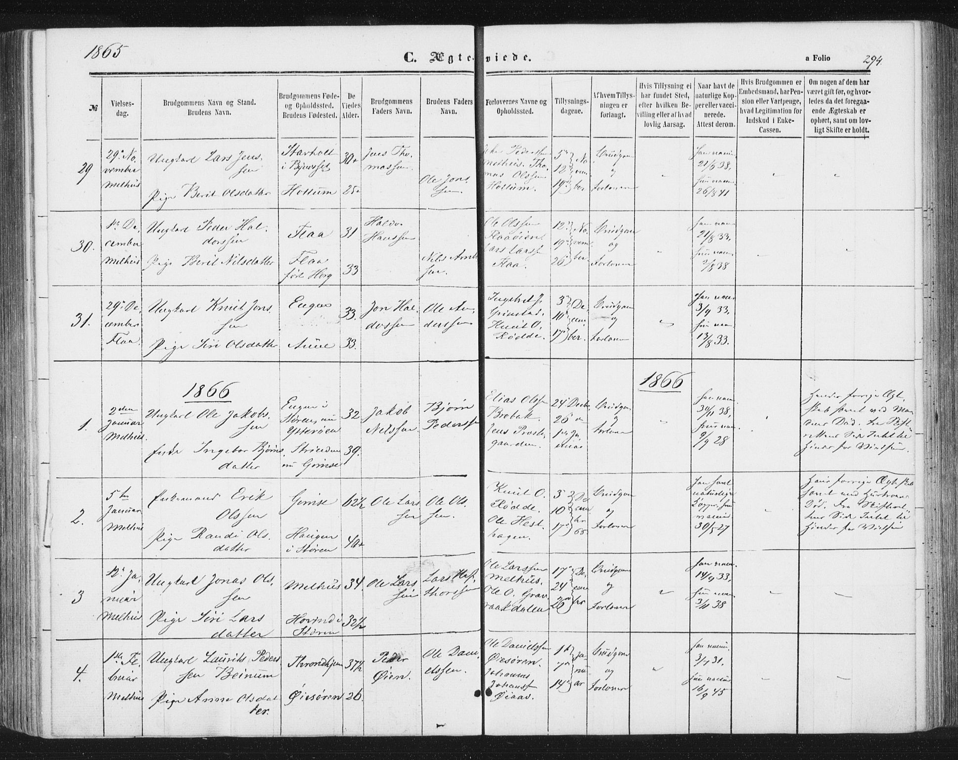 Ministerialprotokoller, klokkerbøker og fødselsregistre - Sør-Trøndelag, SAT/A-1456/691/L1077: Parish register (official) no. 691A09, 1862-1873, p. 294