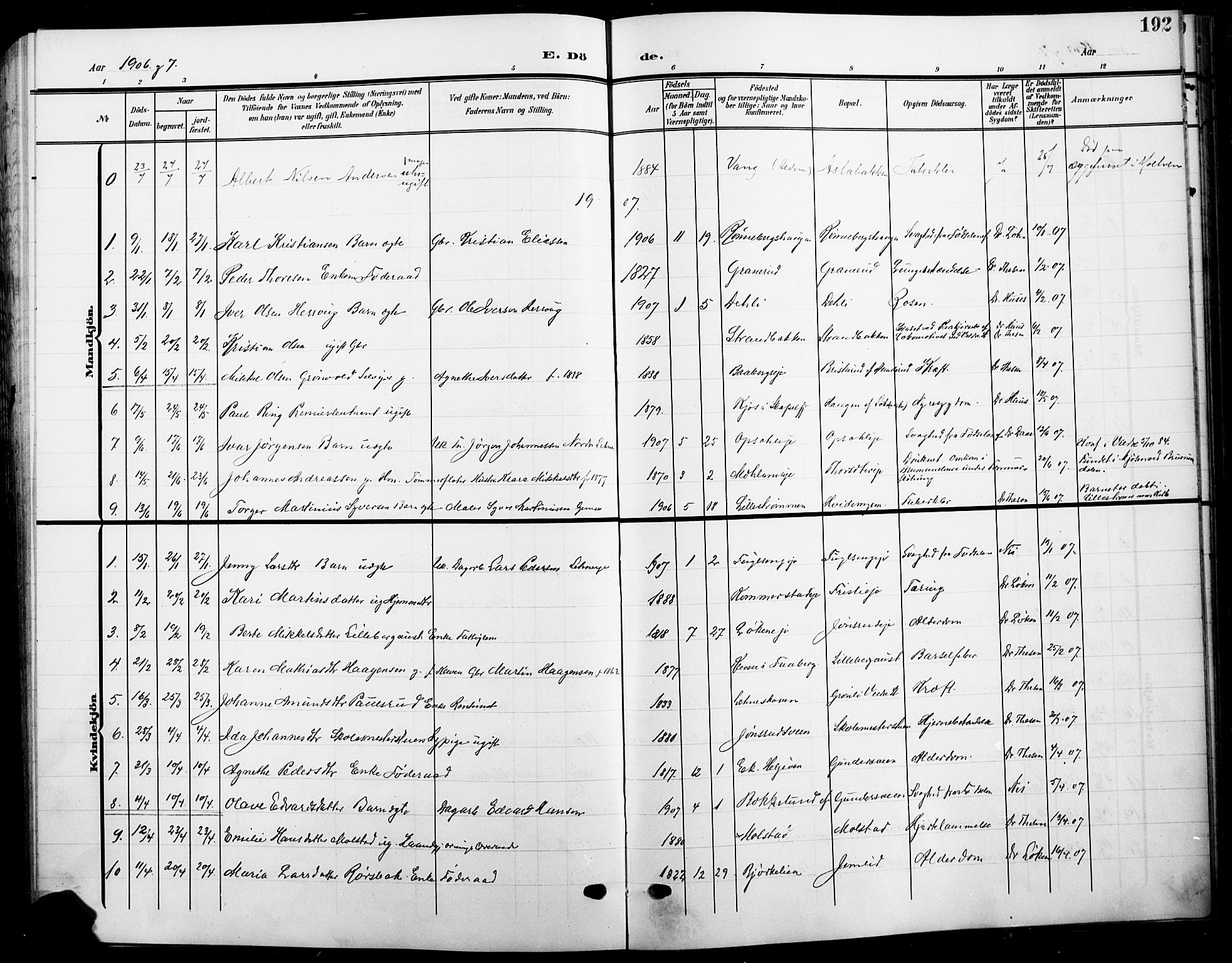 Ringsaker prestekontor, SAH/PREST-014/L/La/L0017: Parish register (copy) no. 17, 1905-1920, p. 192