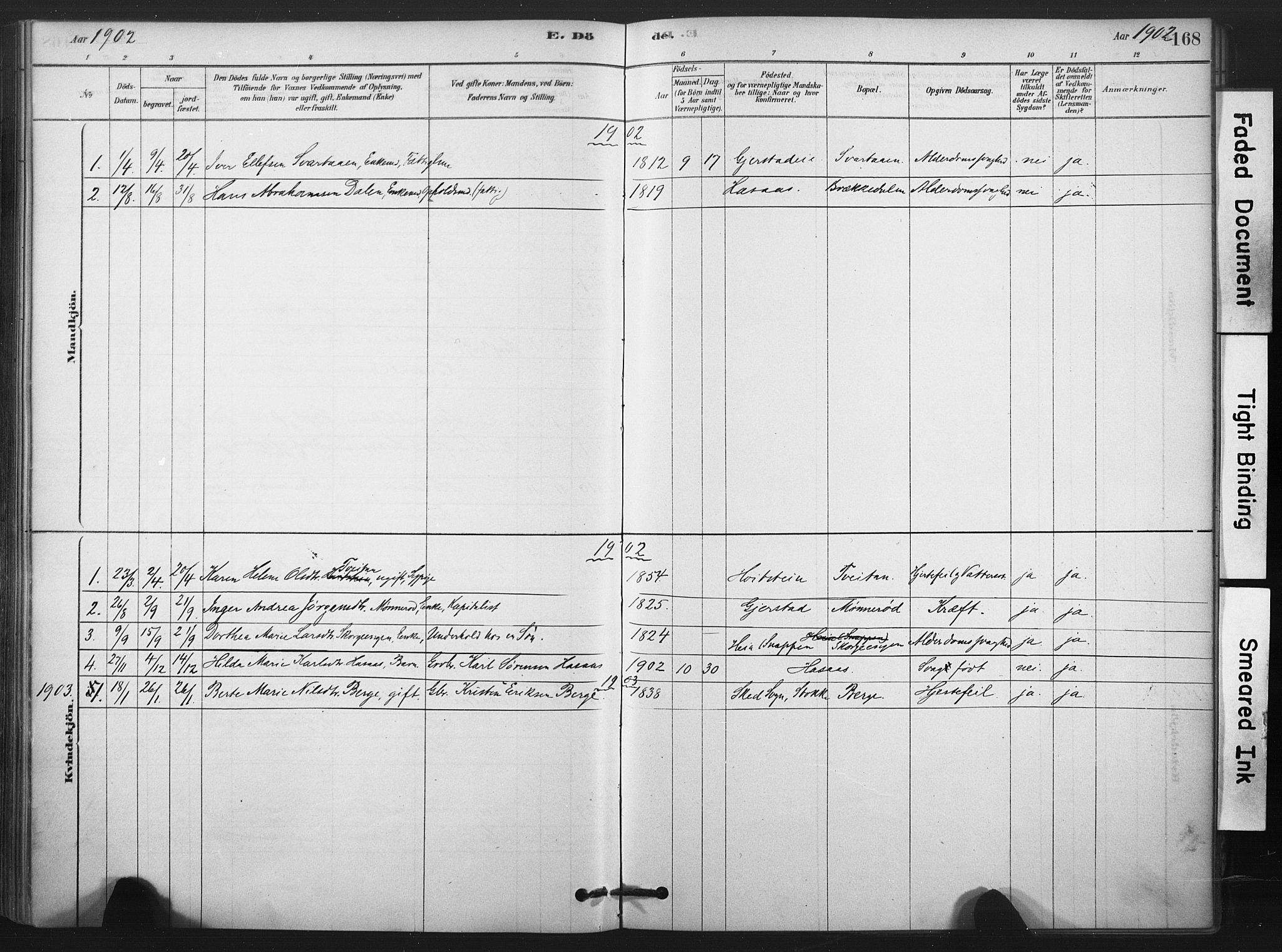 Andebu kirkebøker, AV/SAKO-A-336/F/Fa/L0008: Parish register (official) no. 8, 1878-1902, p. 168