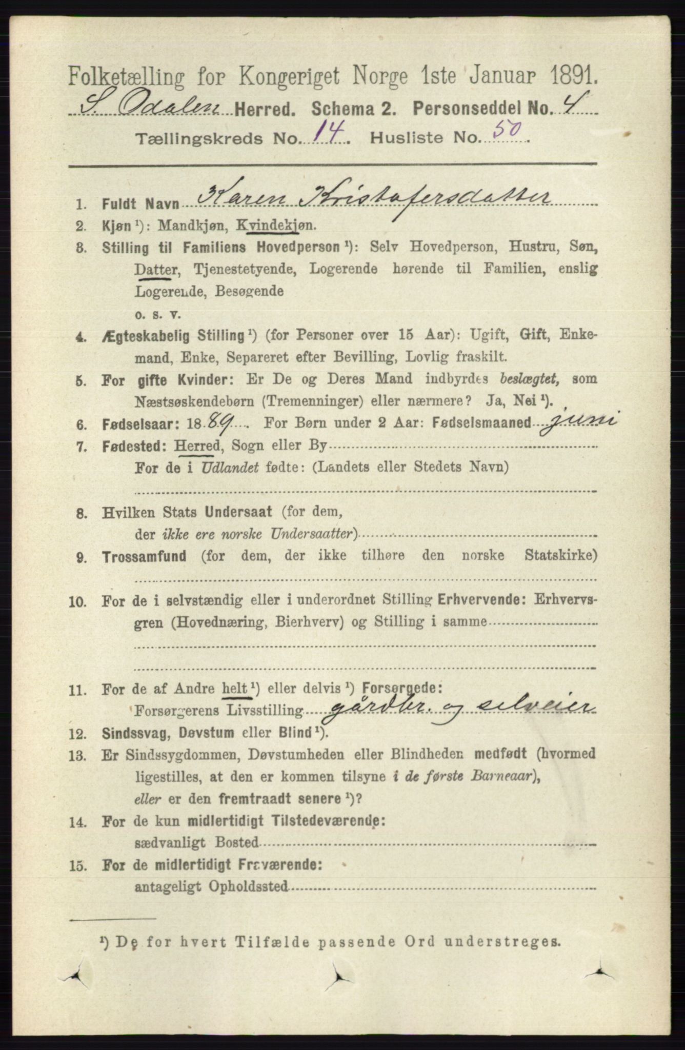 RA, 1891 census for 0419 Sør-Odal, 1891, p. 6351