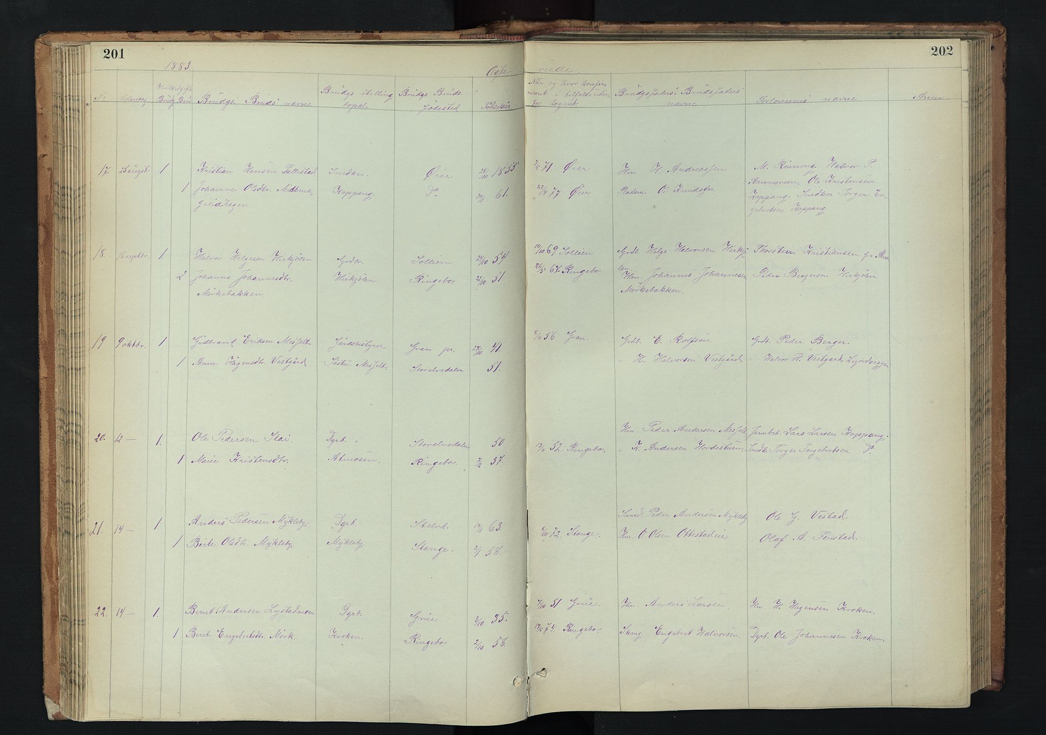 Stor-Elvdal prestekontor, AV/SAH-PREST-052/H/Ha/Hab/L0002: Parish register (copy) no. 2, 1860-1894, p. 201-202