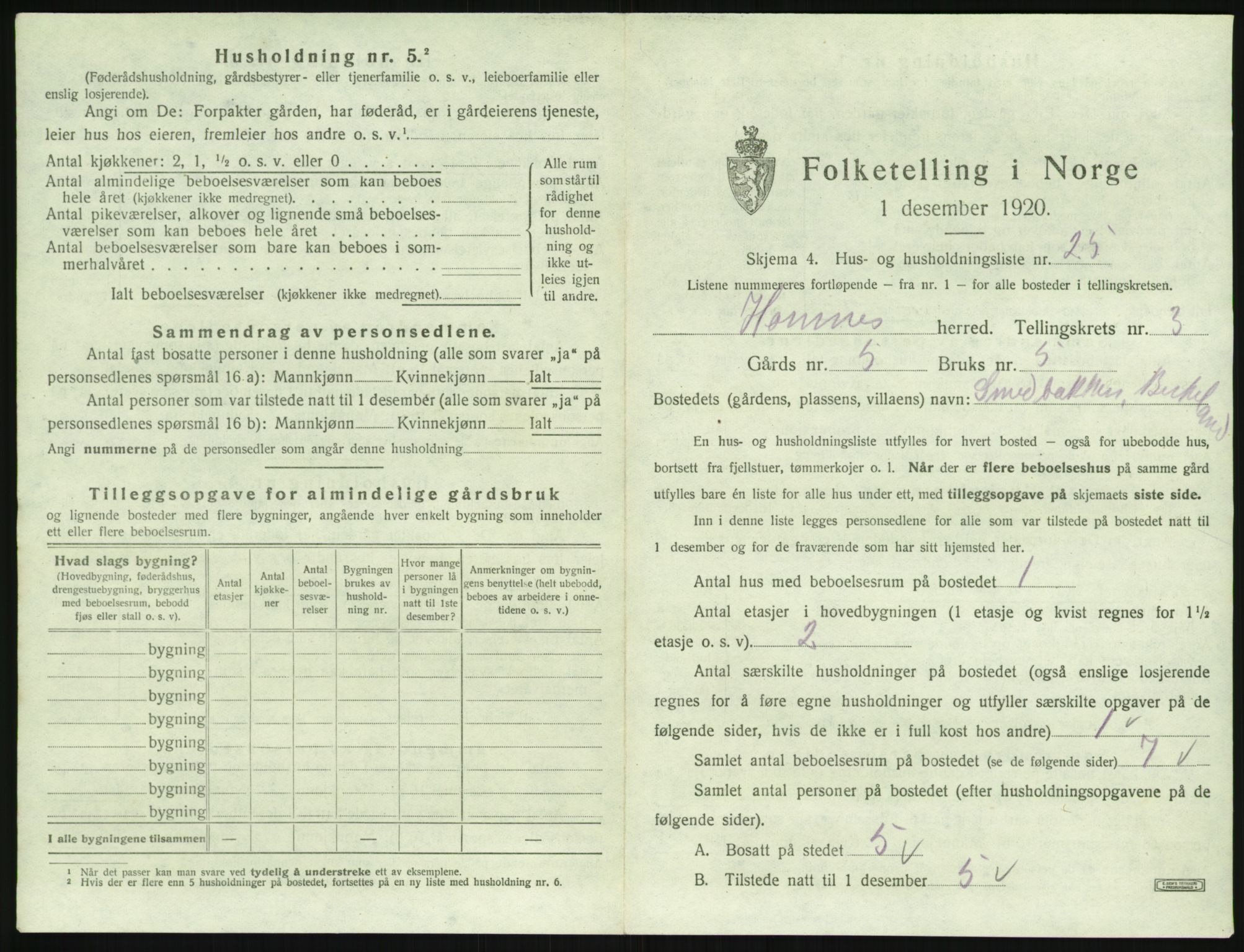 SAK, 1920 census for Hornnes, 1920, p. 165