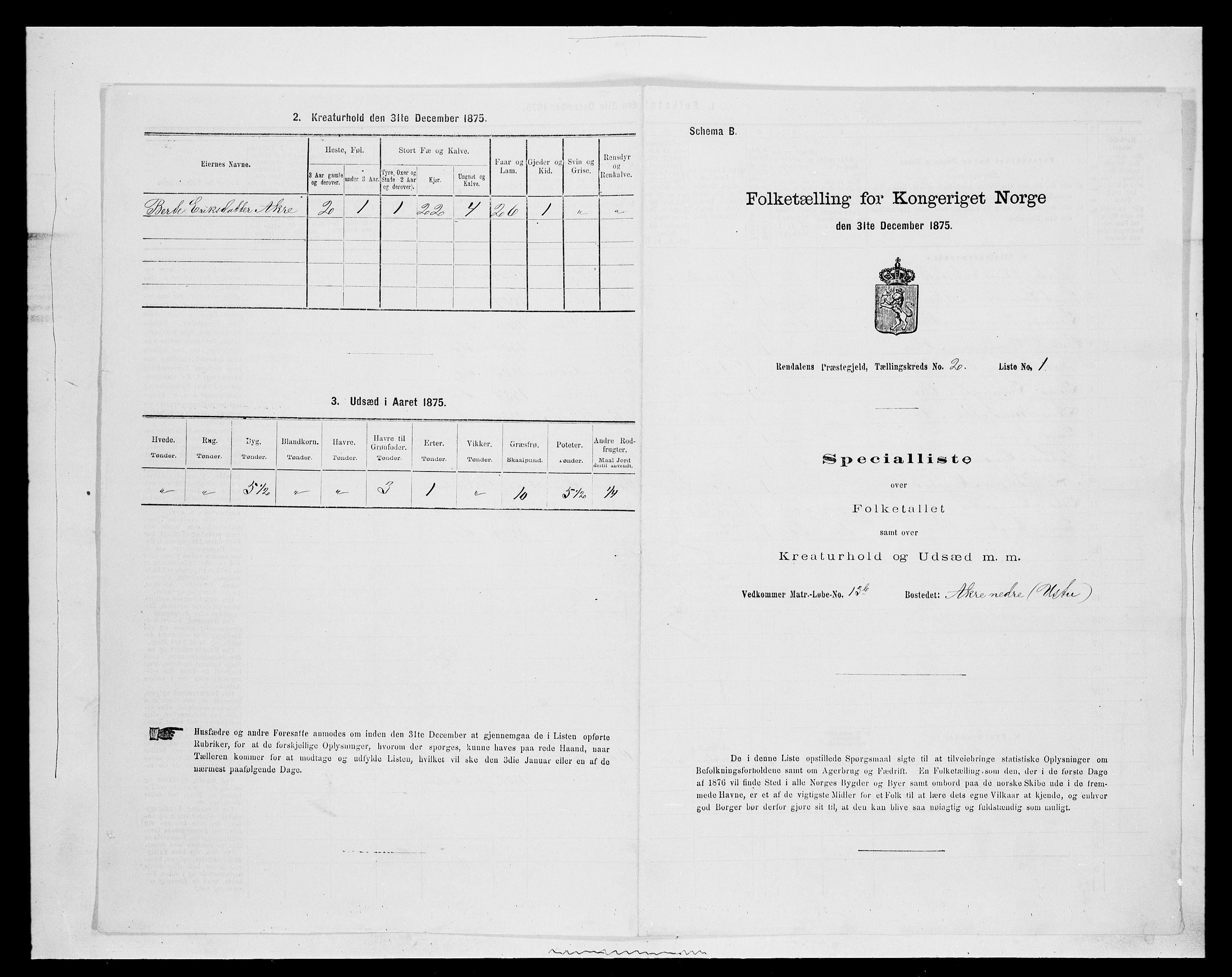 SAH, 1875 census for 0432P Rendalen, 1875, p. 212