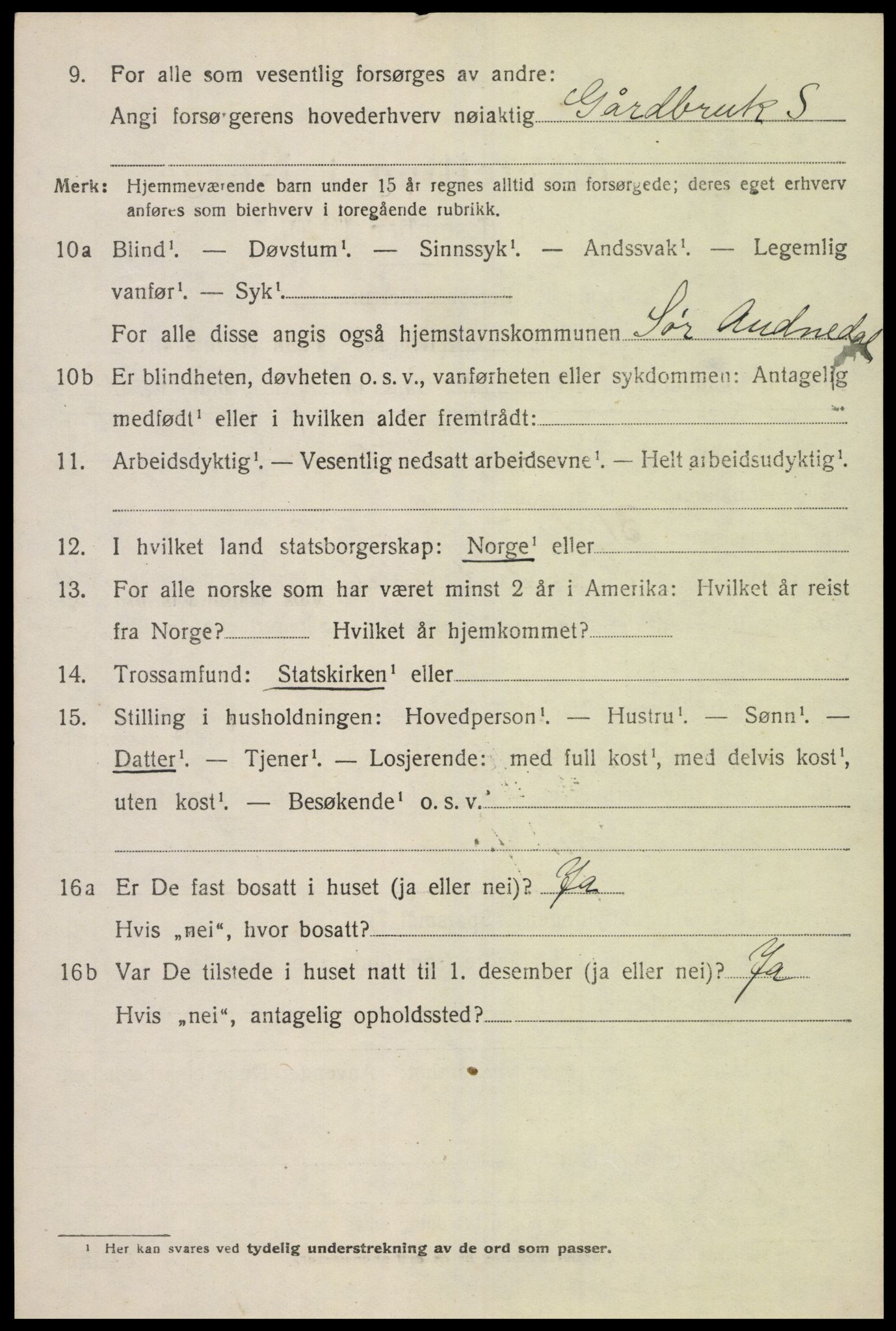 SAK, 1920 census for Sør-Audnedal, 1920, p. 2592