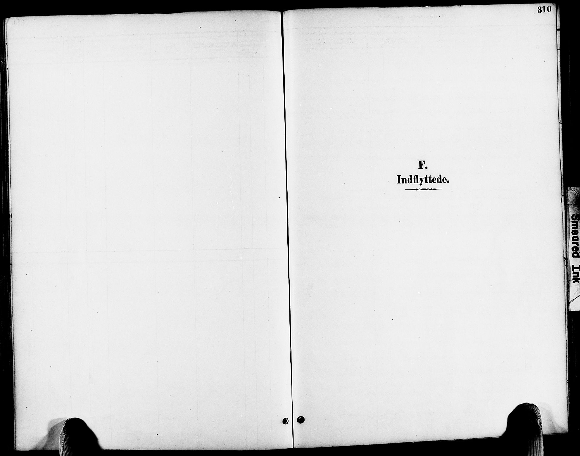 Søndeled sokneprestkontor, AV/SAK-1111-0038/F/Fa/L0005: Parish register (official) no. A 5, 1889-1899, p. 310