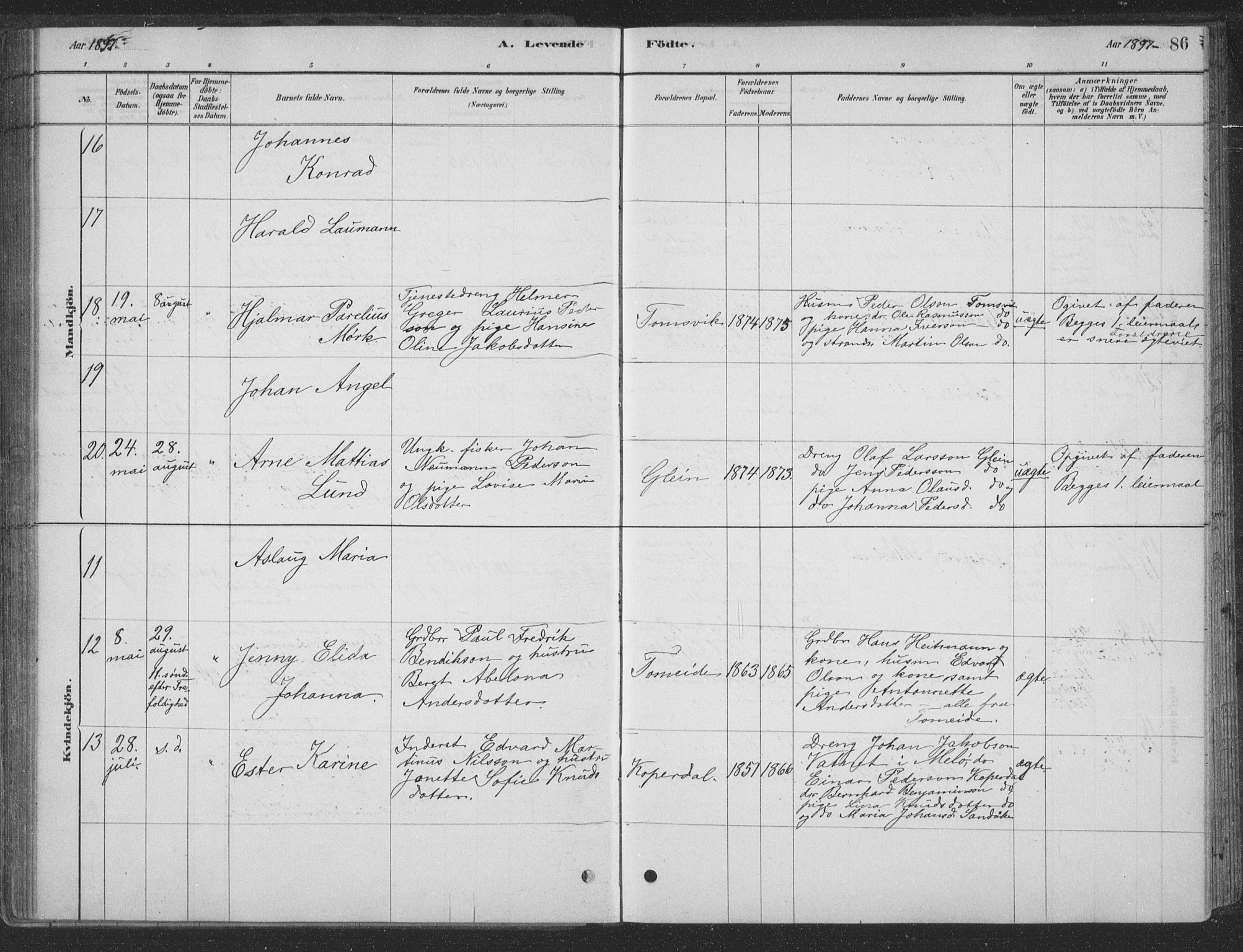 Ministerialprotokoller, klokkerbøker og fødselsregistre - Nordland, AV/SAT-A-1459/835/L0532: Parish register (copy) no. 835C04, 1880-1905, p. 86