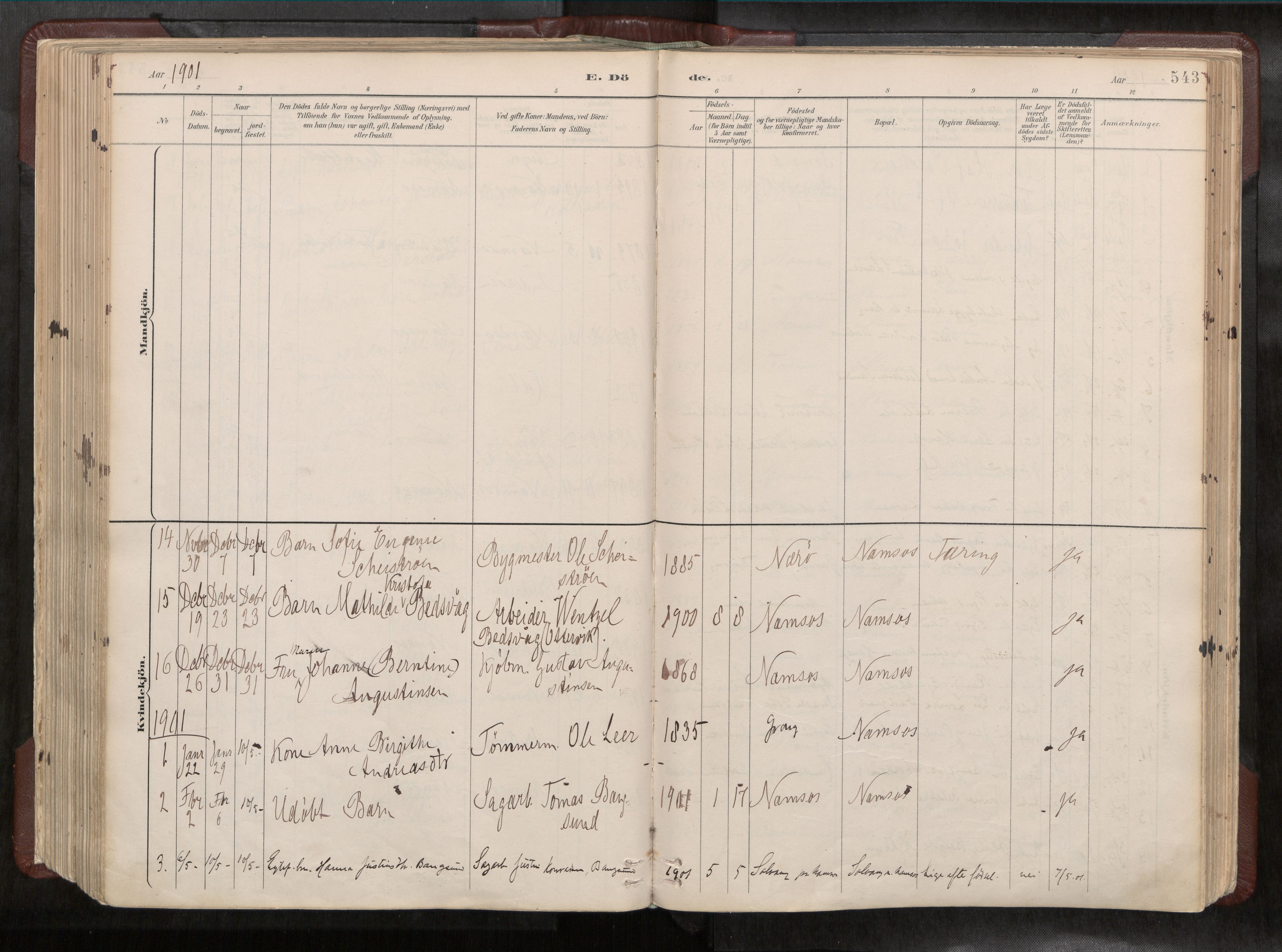 Ministerialprotokoller, klokkerbøker og fødselsregistre - Nord-Trøndelag, SAT/A-1458/768/L0579a: Parish register (official) no. 768A14, 1887-1931, p. 543