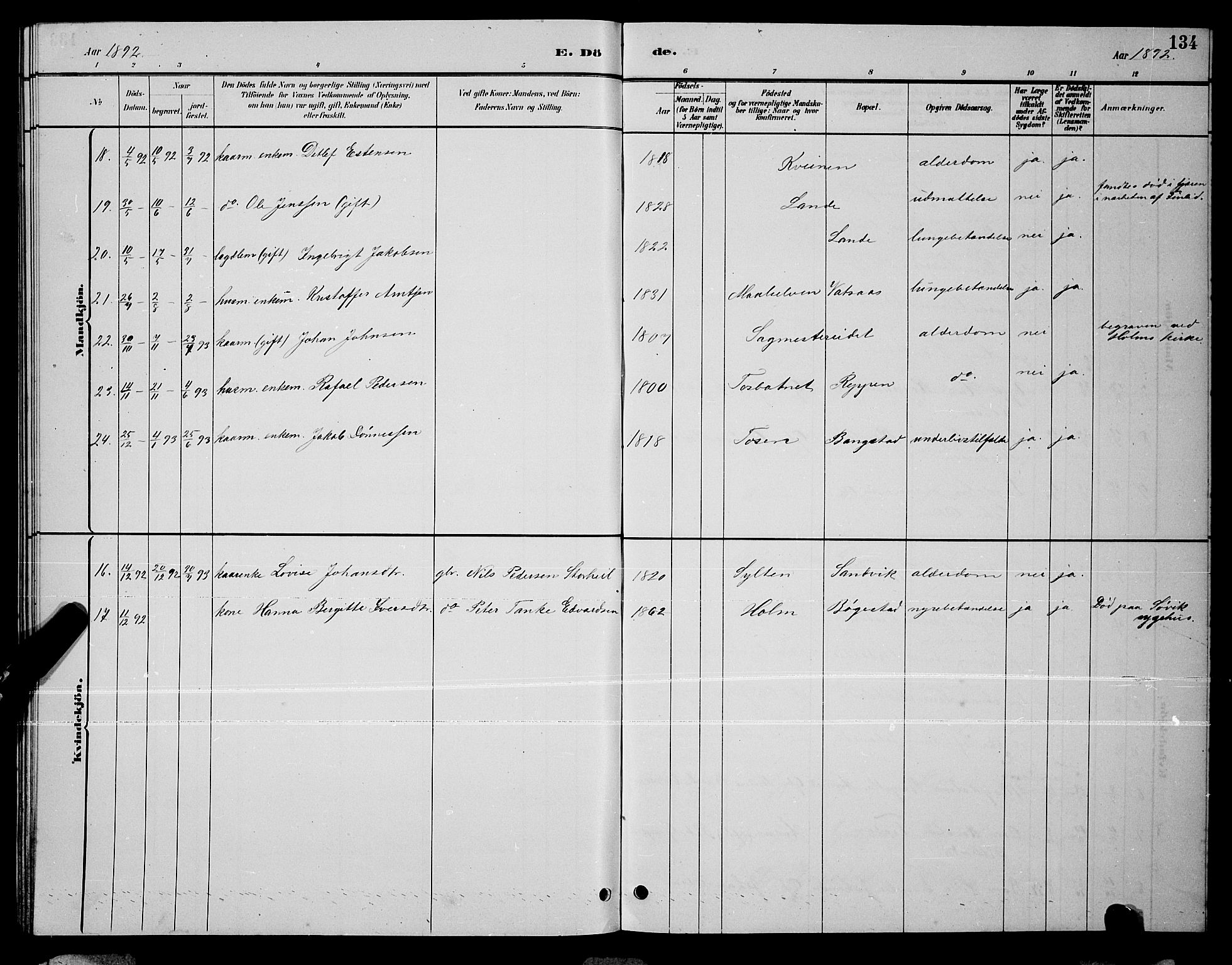 Ministerialprotokoller, klokkerbøker og fødselsregistre - Nordland, AV/SAT-A-1459/810/L0160: Parish register (copy) no. 810C03, 1884-1896, p. 134