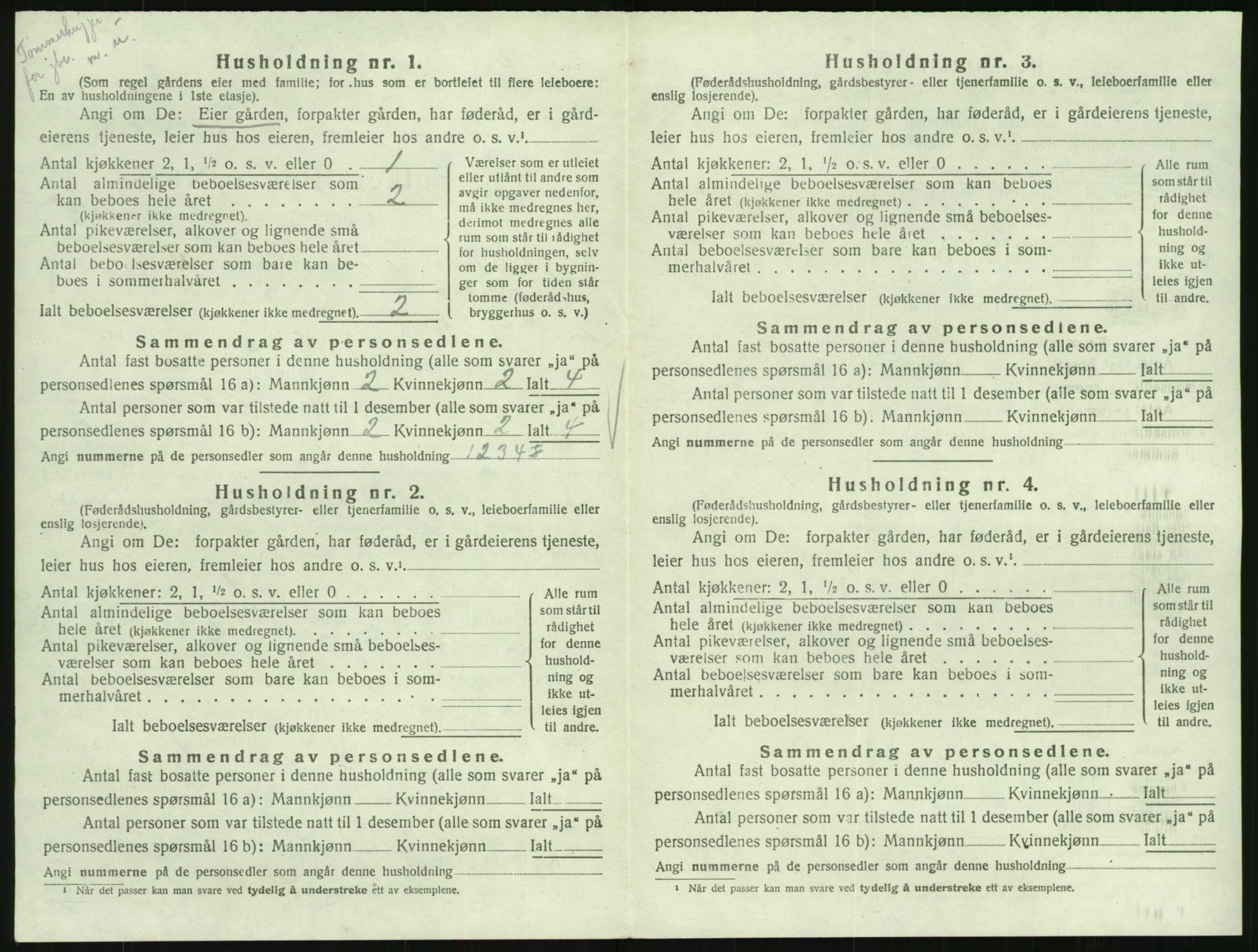 SAK, 1920 census for Hornnes, 1920, p. 372