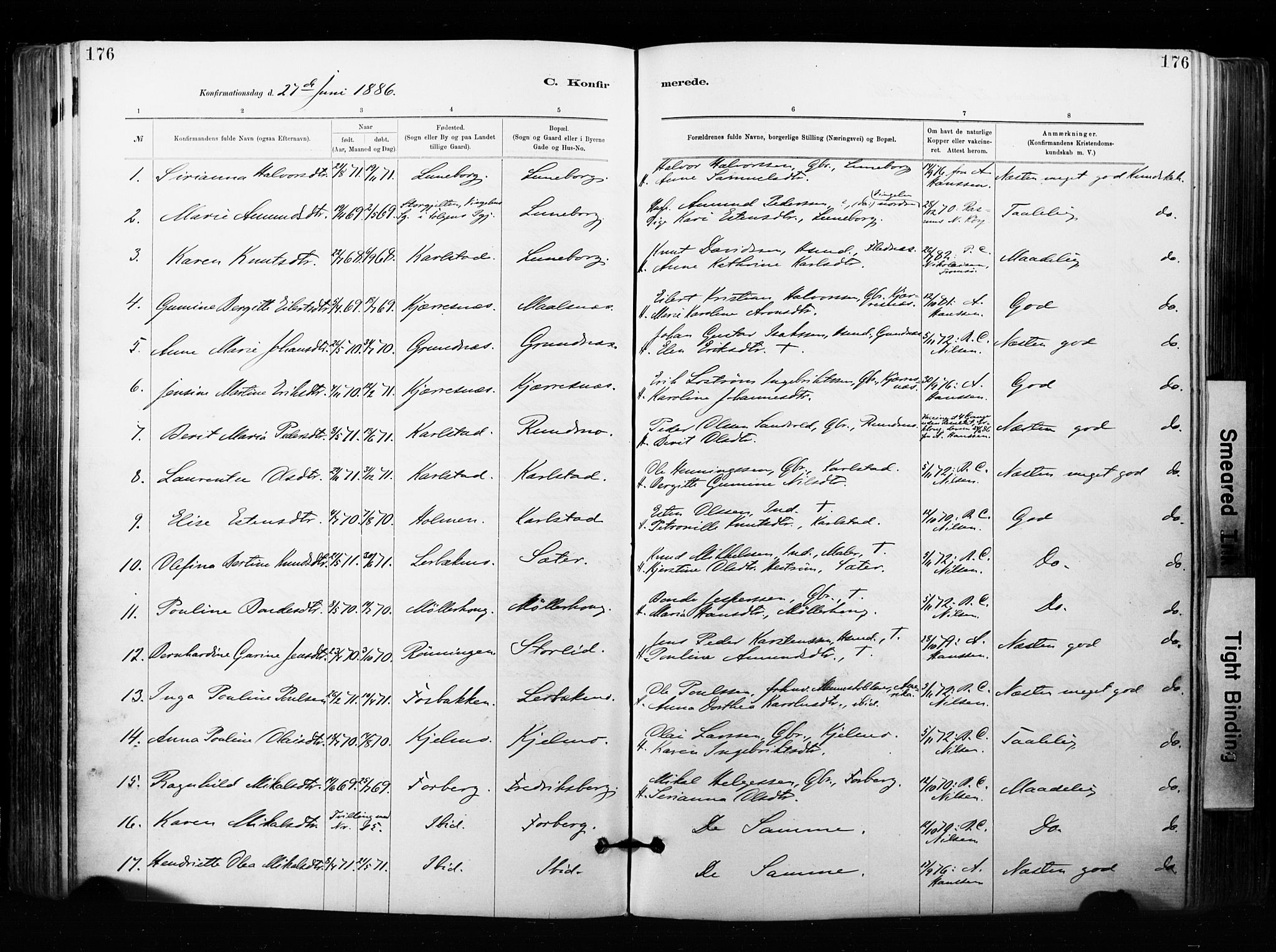 Målselv sokneprestembete, SATØ/S-1311/G/Ga/Gaa/L0007kirke: Parish register (official) no. 7, 1884-1903, p. 176